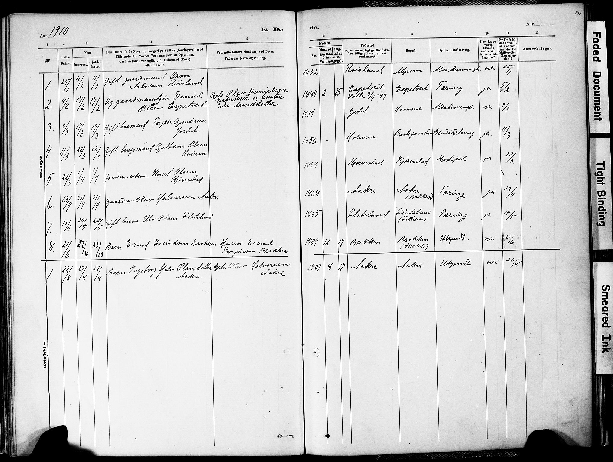 Valle sokneprestkontor, AV/SAK-1111-0044/F/Fa/Fac/L0009: Parish register (official) no. A 9, 1882-1913, p. 238