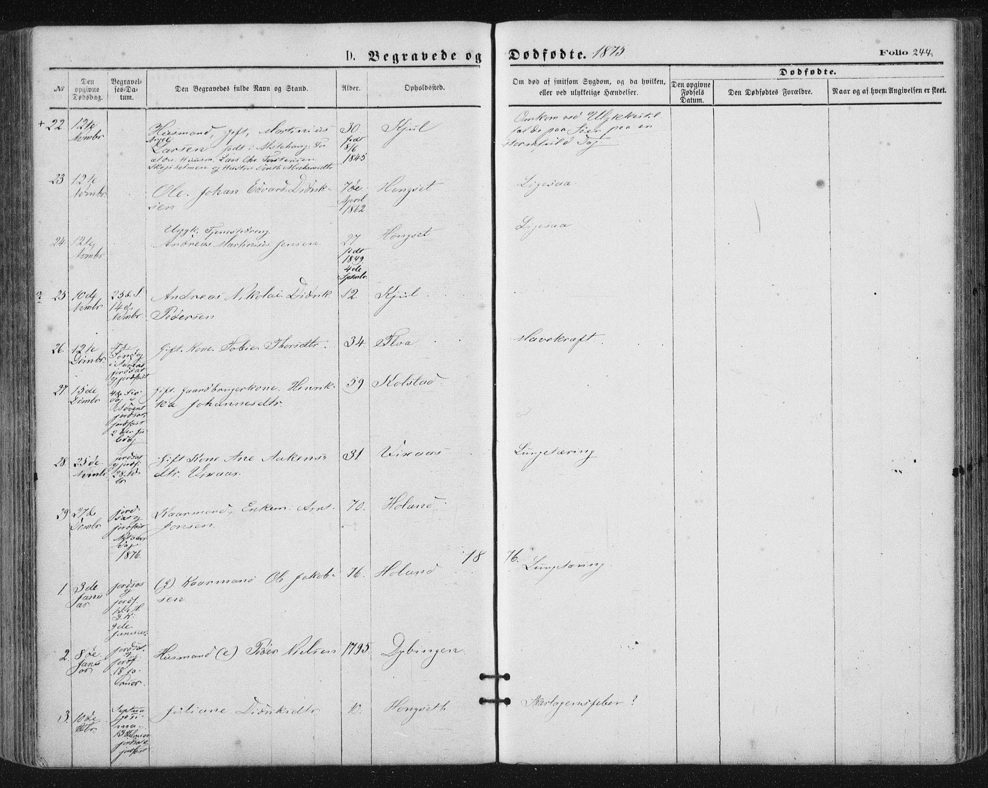 Ministerialprotokoller, klokkerbøker og fødselsregistre - Nordland, SAT/A-1459/816/L0241: Parish register (official) no. 816A07, 1870-1885, p. 244