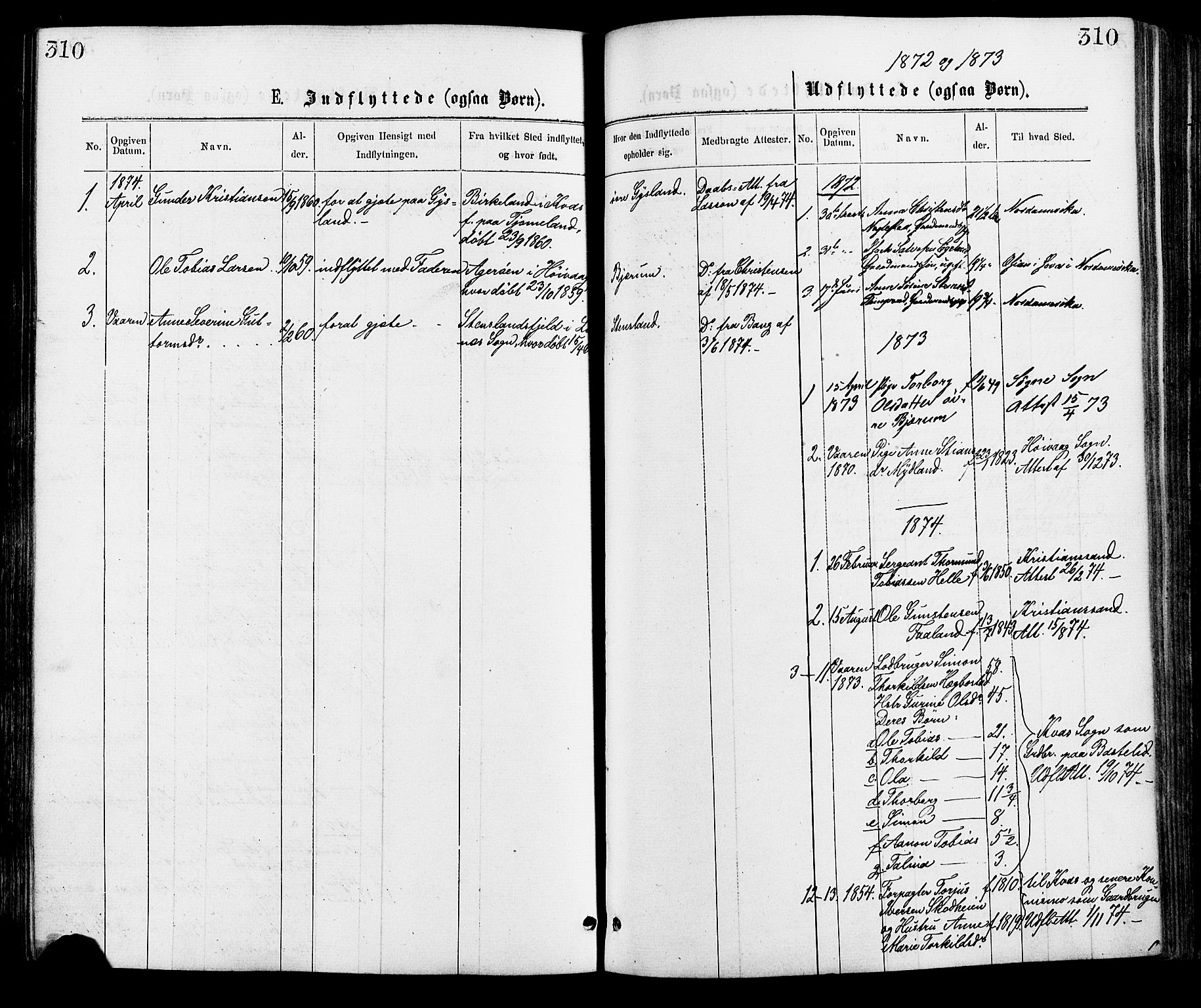 Hægebostad sokneprestkontor, AV/SAK-1111-0024/F/Fa/Faa/L0005: Parish register (official) no. A 5, 1864-1886, p. 310