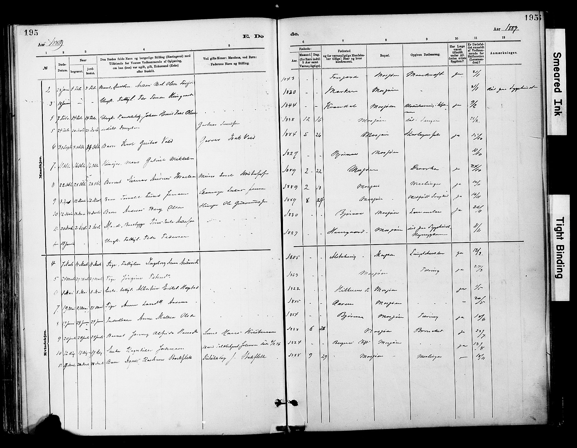 Ministerialprotokoller, klokkerbøker og fødselsregistre - Nordland, AV/SAT-A-1459/820/L0296: Parish register (official) no. 820A17, 1880-1903, p. 195