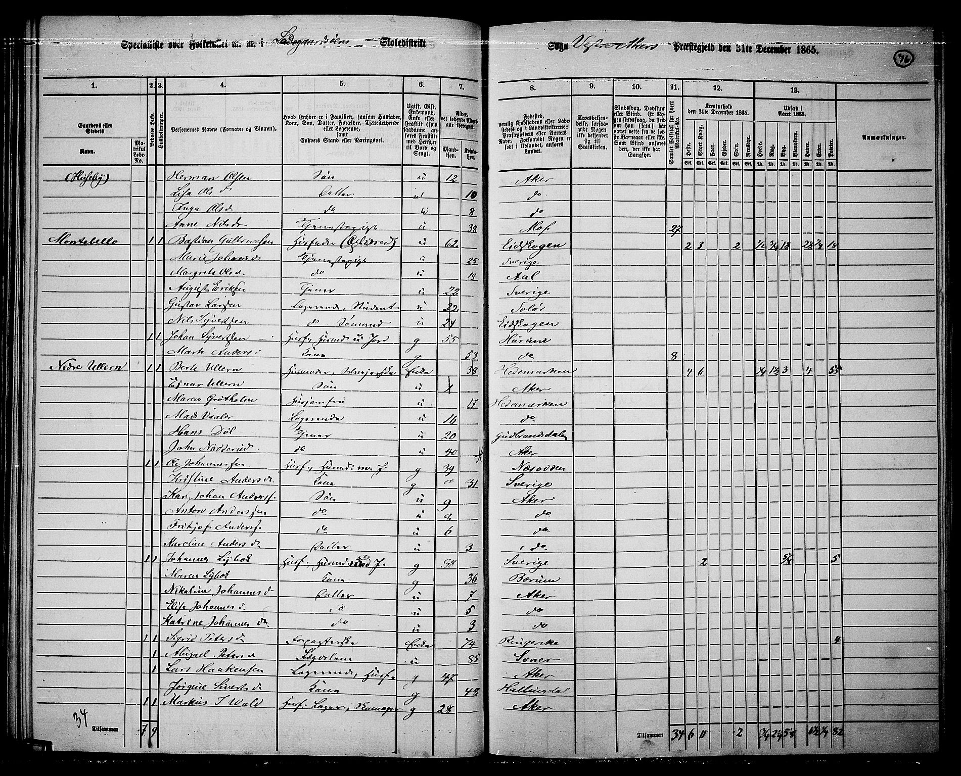 RA, 1865 census for Vestre Aker, 1865, p. 73