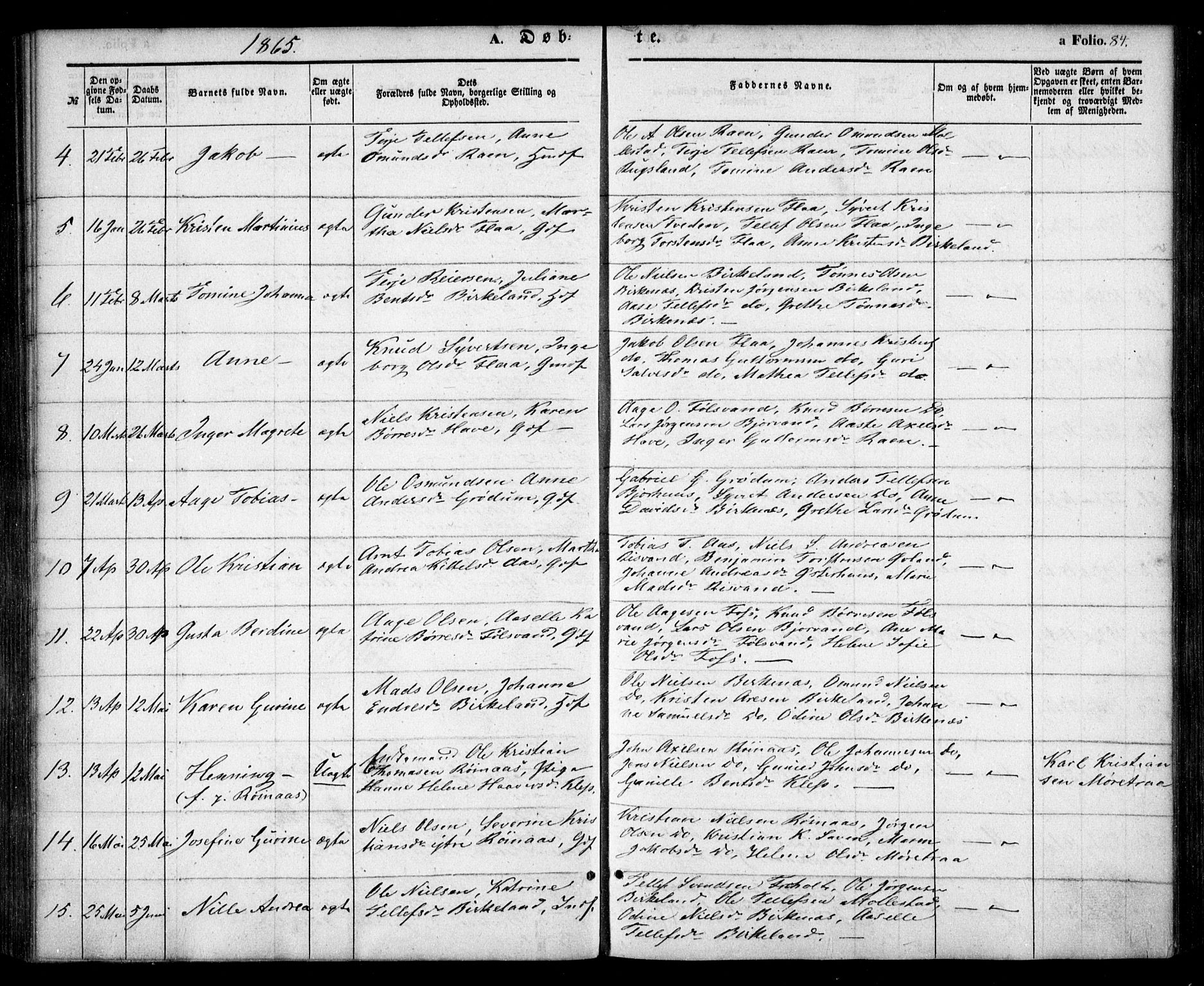 Birkenes sokneprestkontor, AV/SAK-1111-0004/F/Fa/L0003: Parish register (official) no. A 3, 1850-1866, p. 84