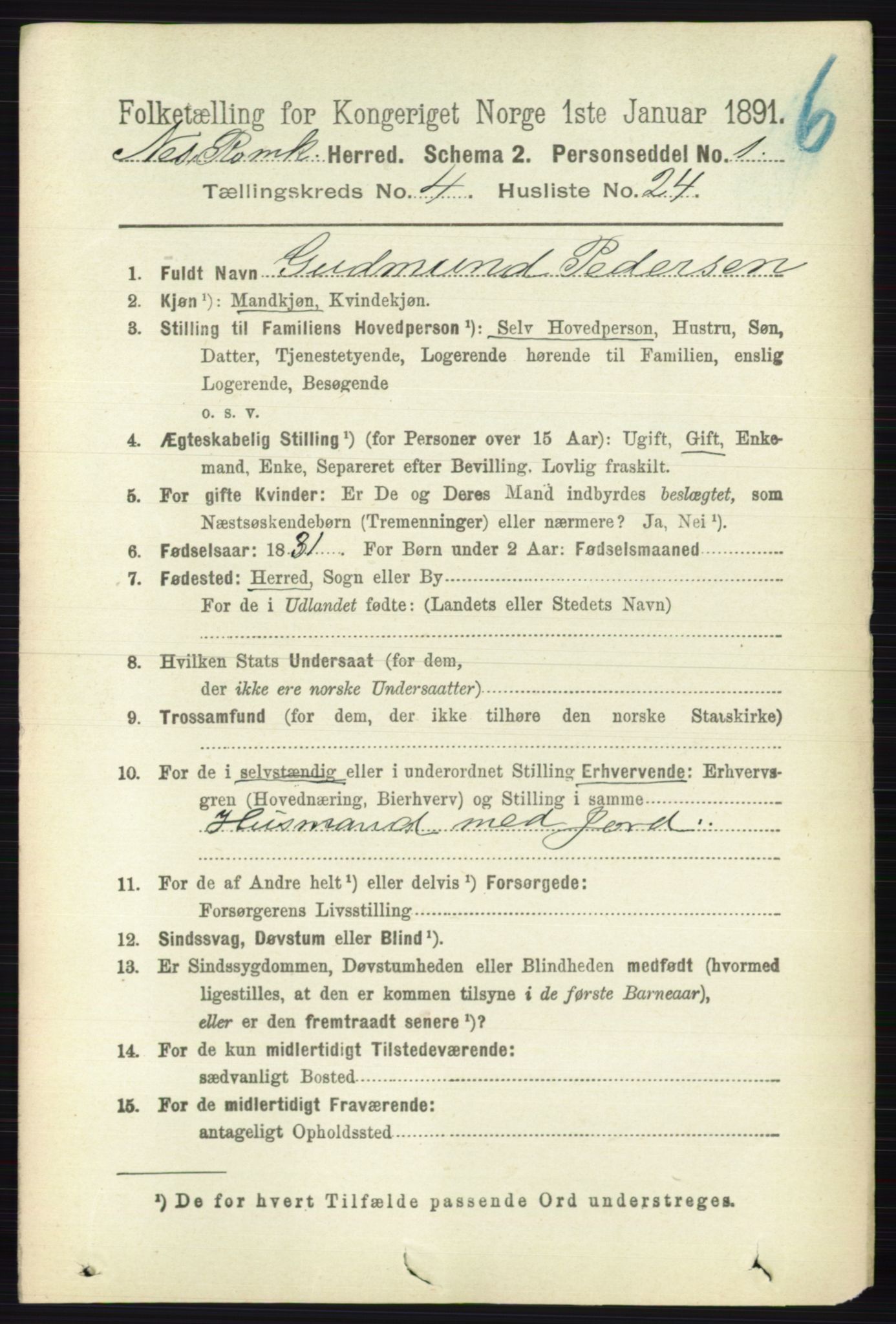 RA, 1891 census for 0236 Nes, 1891, p. 2391