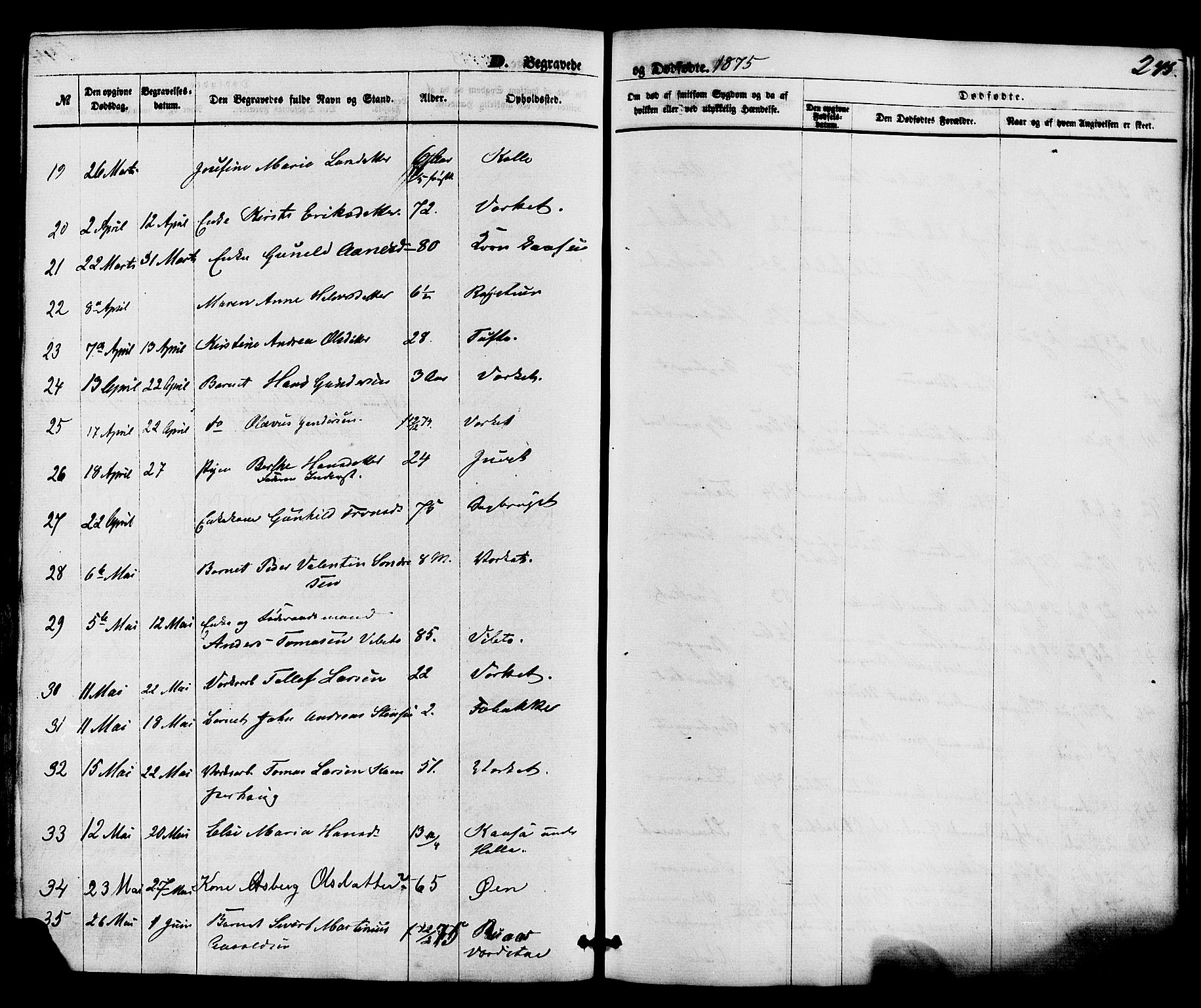 Holla kirkebøker, SAKO/A-272/F/Fa/L0007: Parish register (official) no. 7, 1869-1881, p. 245