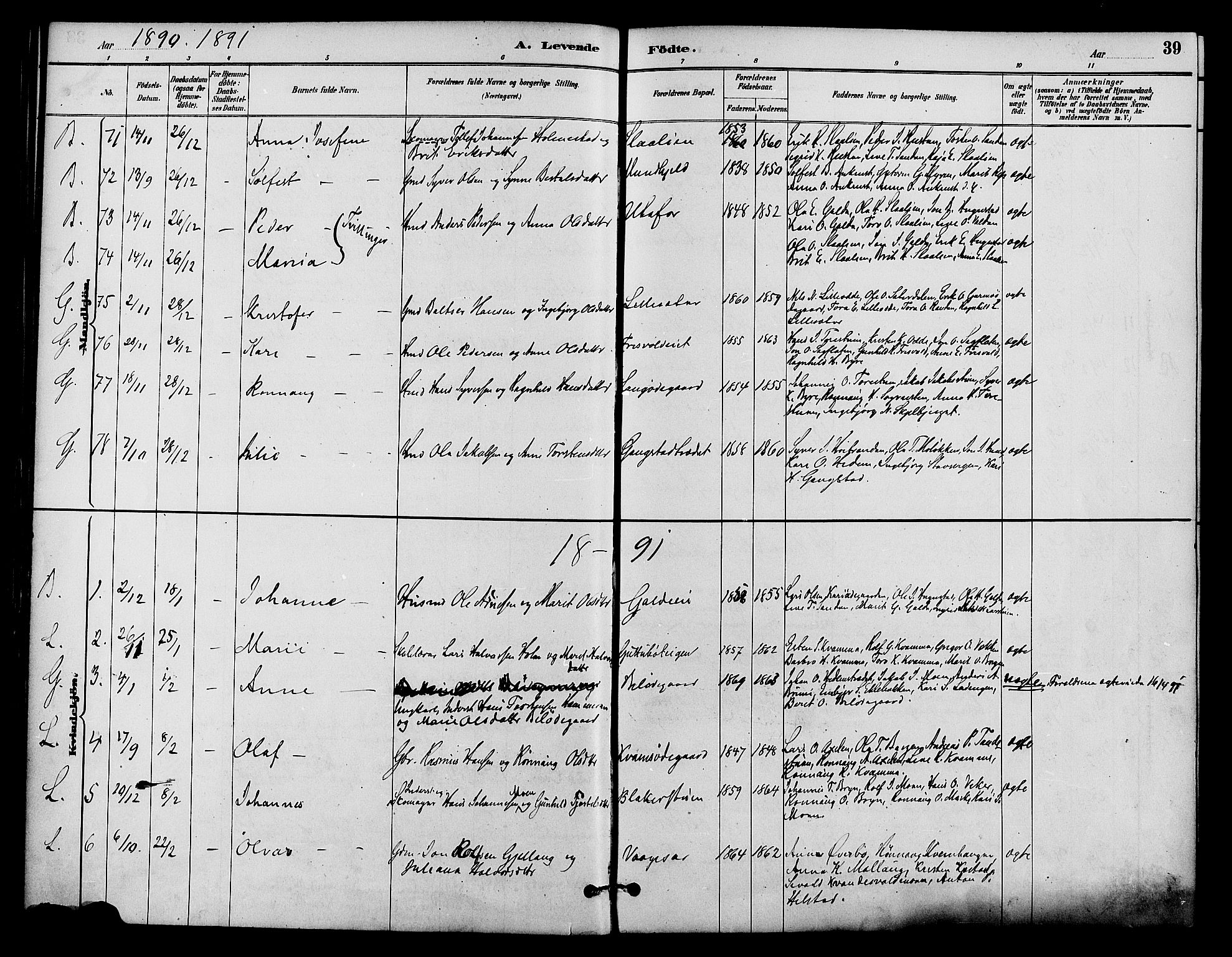 Lom prestekontor, AV/SAH-PREST-070/K/L0008: Parish register (official) no. 8, 1885-1898, p. 39