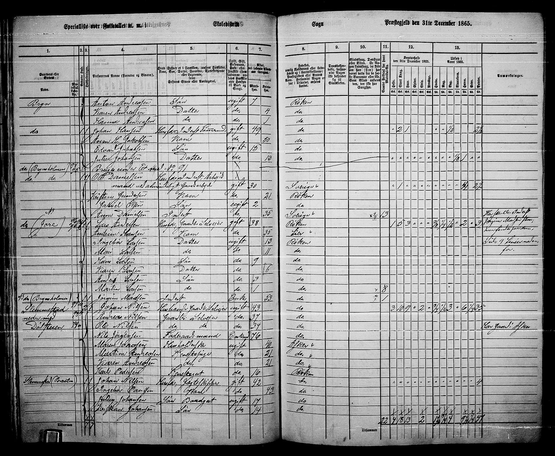 RA, 1865 census for Røyken, 1865, p. 71