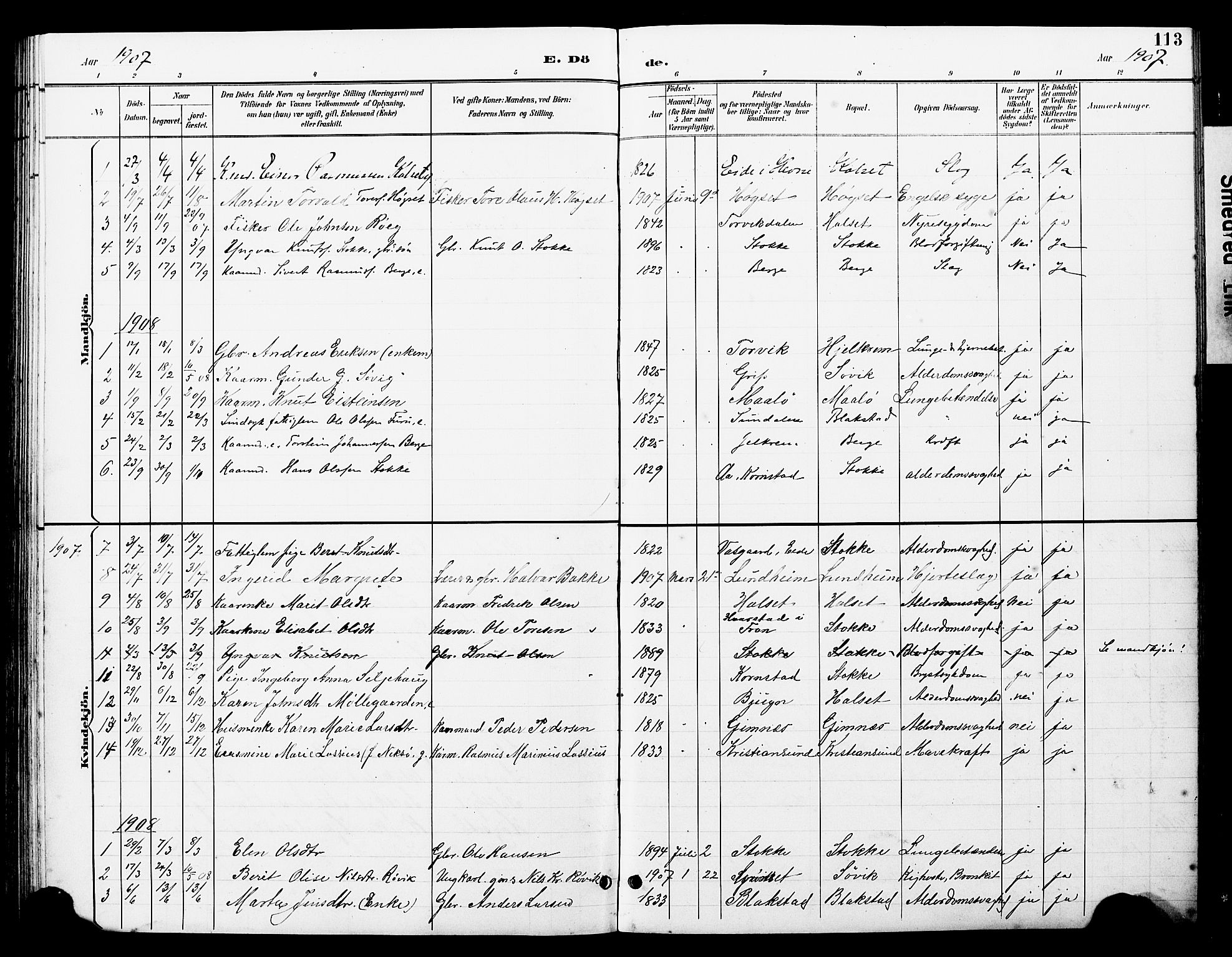 Ministerialprotokoller, klokkerbøker og fødselsregistre - Møre og Romsdal, AV/SAT-A-1454/585/L0973: Parish register (copy) no. 585C01, 1893-1930, p. 113