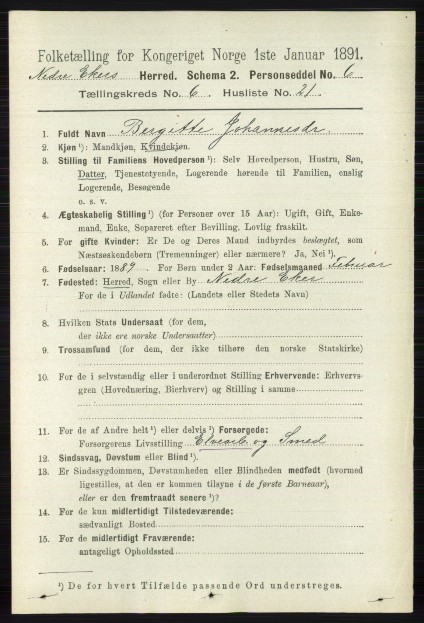 RA, 1891 census for 0625 Nedre Eiker, 1891, p. 3013