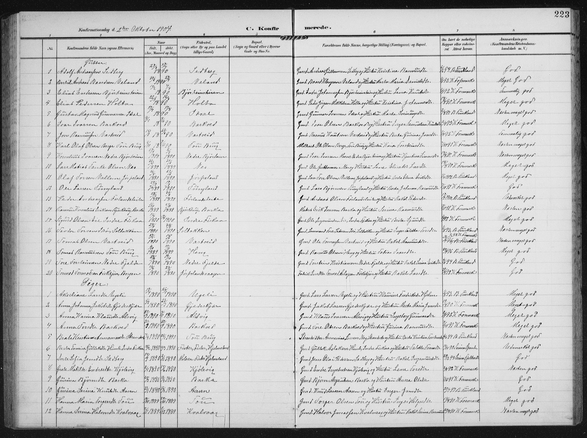 Strand sokneprestkontor, AV/SAST-A-101828/H/Ha/Hab/L0005: Parish register (copy) no. B 5, 1904-1934, p. 223