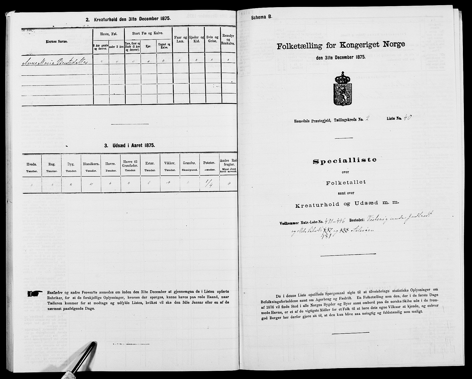 SAK, 1875 census for 0924P Homedal, 1875, p. 208