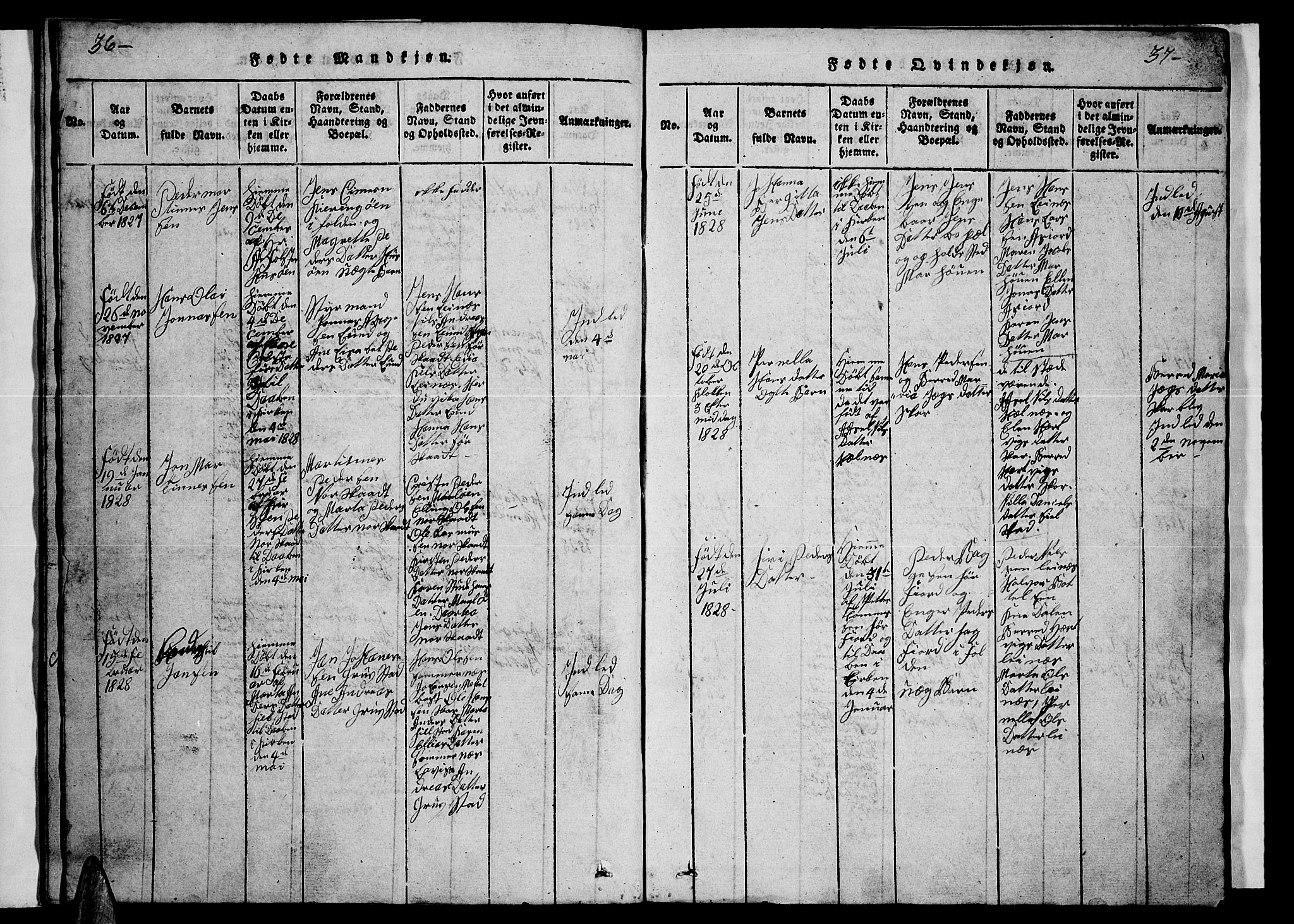 Ministerialprotokoller, klokkerbøker og fødselsregistre - Nordland, AV/SAT-A-1459/857/L0826: Parish register (copy) no. 857C01, 1821-1852, p. 36-37