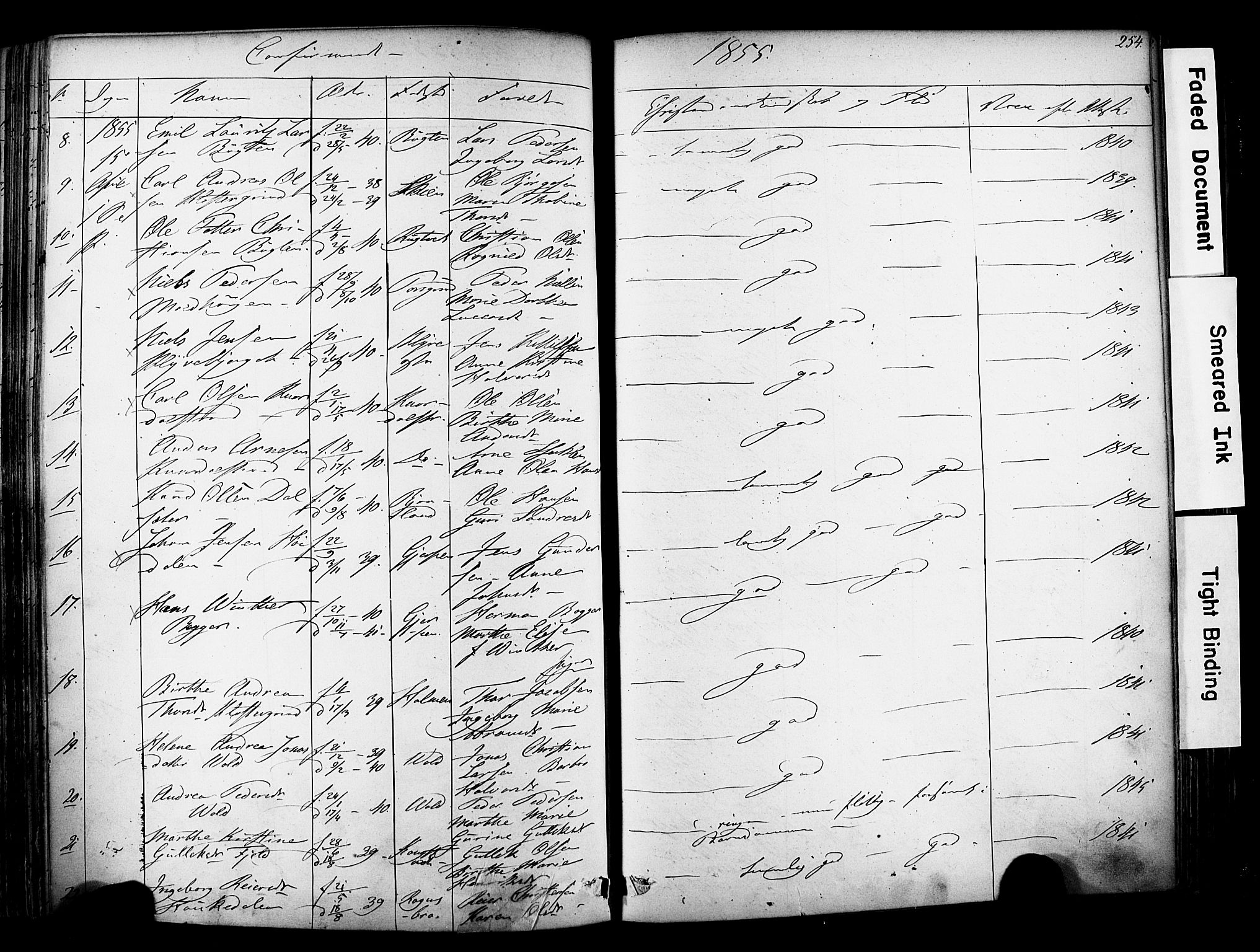 Solum kirkebøker, SAKO/A-306/F/Fa/L0006: Parish register (official) no. I 6, 1844-1855, p. 254
