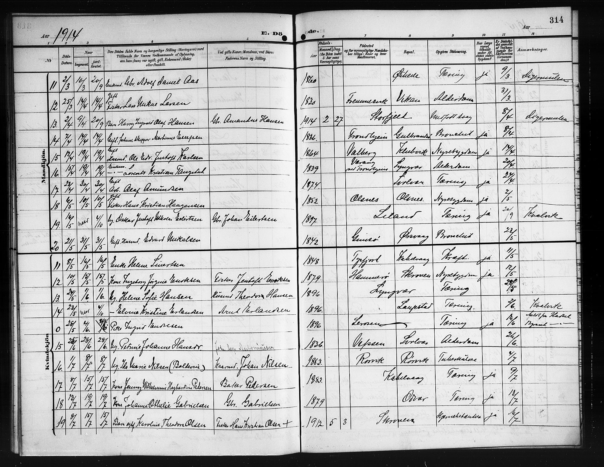 Ministerialprotokoller, klokkerbøker og fødselsregistre - Nordland, AV/SAT-A-1459/874/L1079: Parish register (copy) no. 874C08, 1907-1915, p. 314