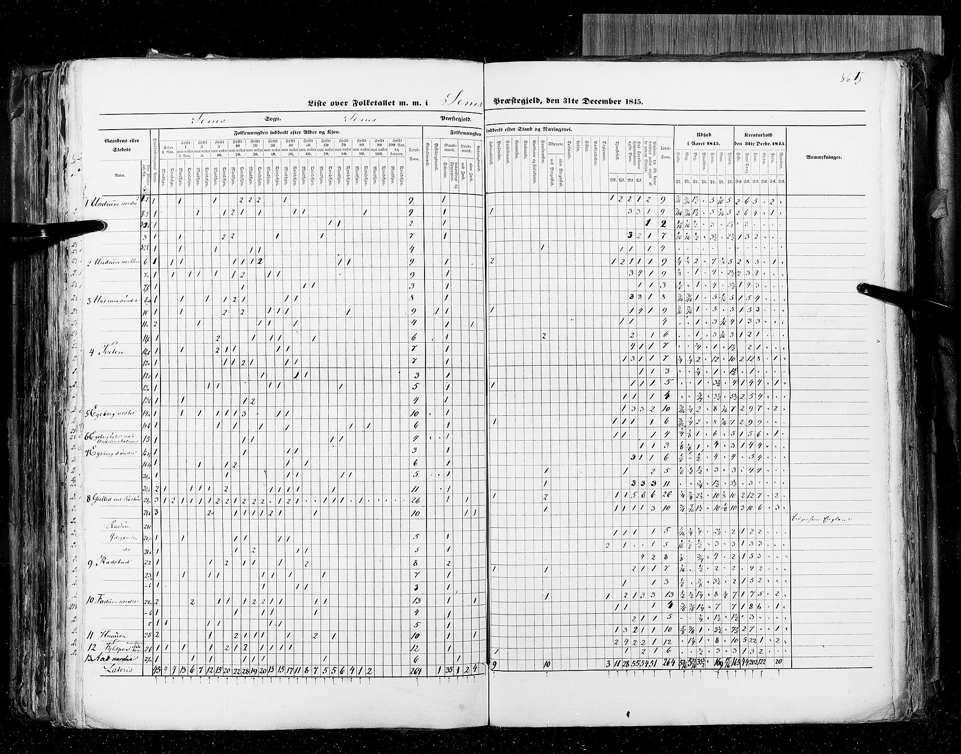 RA, Census 1845, vol. 4: Buskerud amt og Jarlsberg og Larvik amt, 1845, p. 365