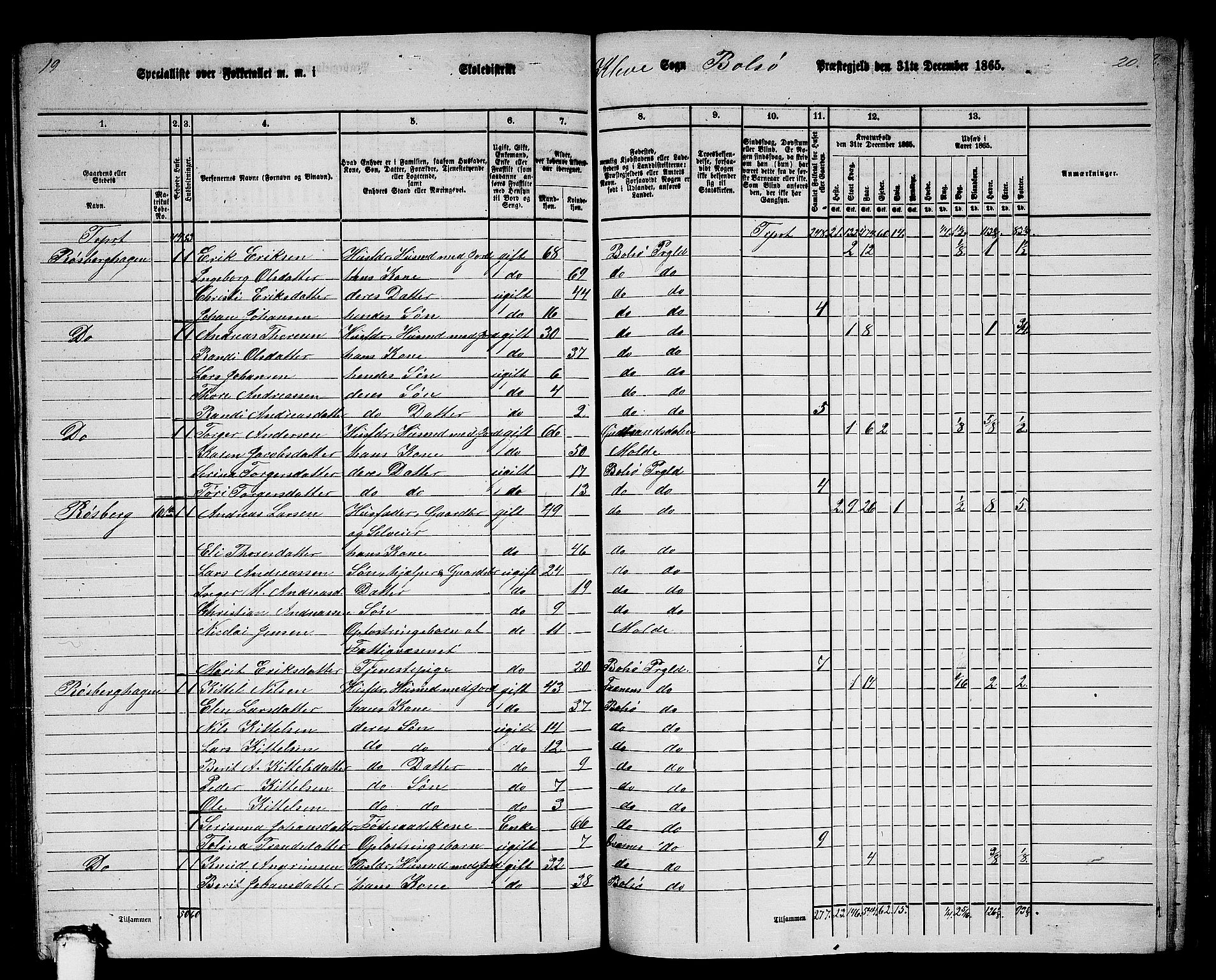 RA, 1865 census for Bolsøy, 1865, p. 94