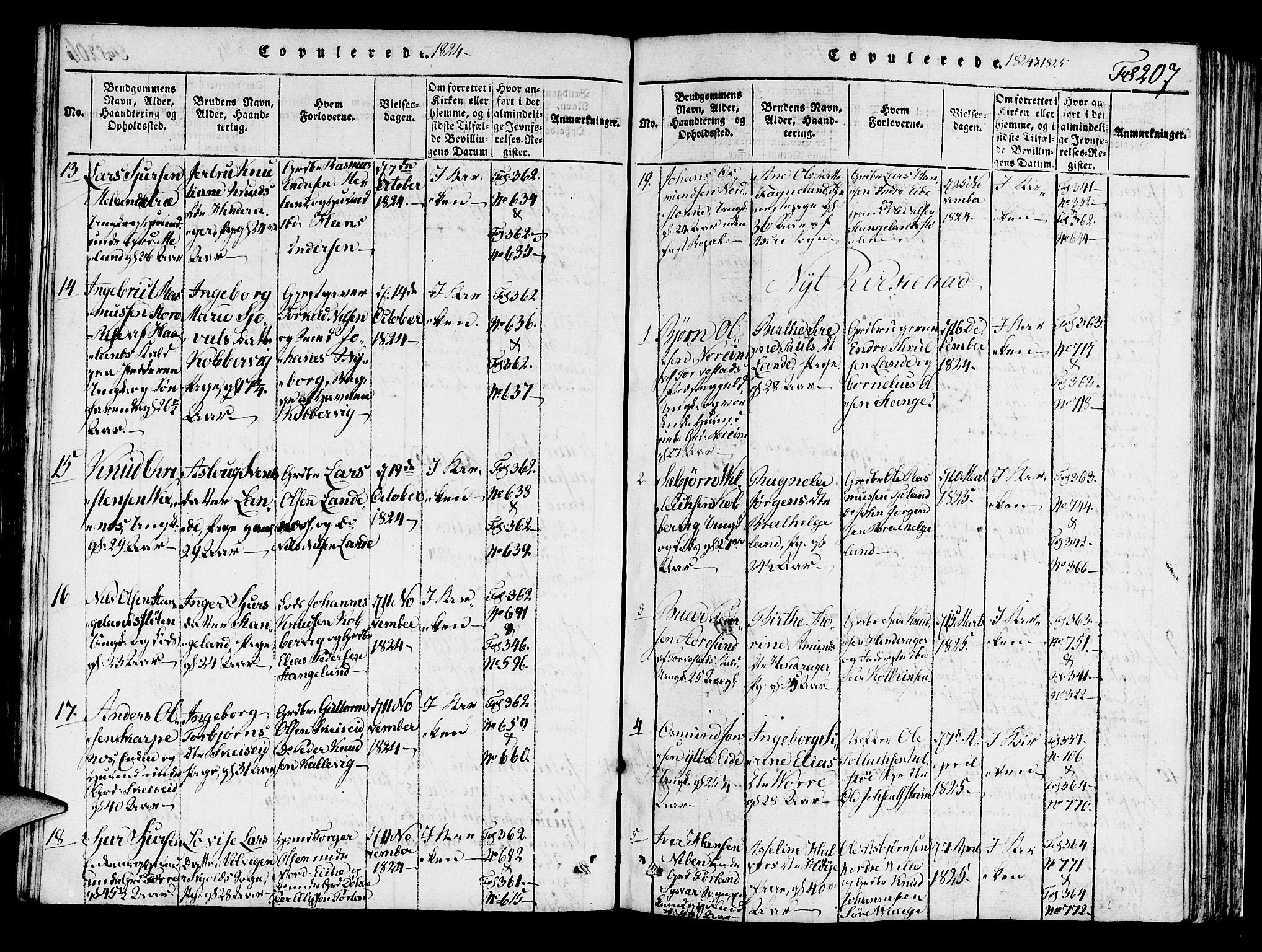 Avaldsnes sokneprestkontor, SAST/A -101851/H/Ha/Haa/L0004: Parish register (official) no. A 4, 1816-1825, p. 207