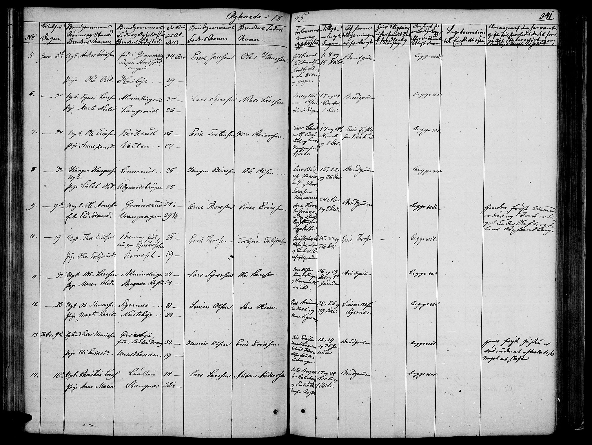 Vinger prestekontor, SAH/PREST-024/H/Ha/Haa/L0008: Parish register (official) no. 8, 1839-1847, p. 341