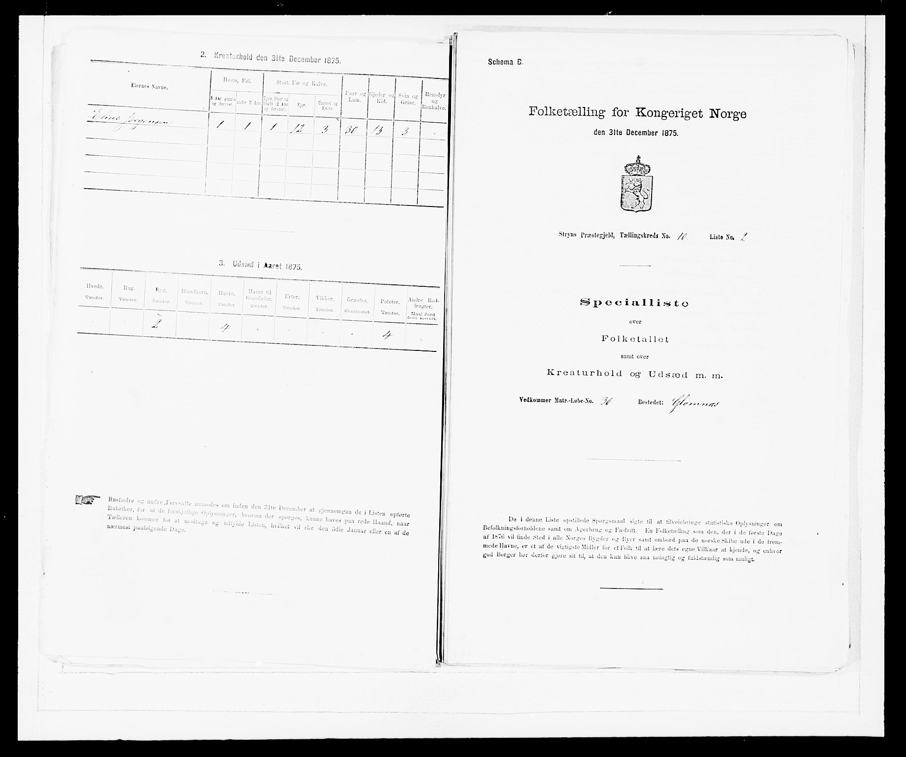 SAB, 1875 Census for 1448P Stryn, 1875, p. 607