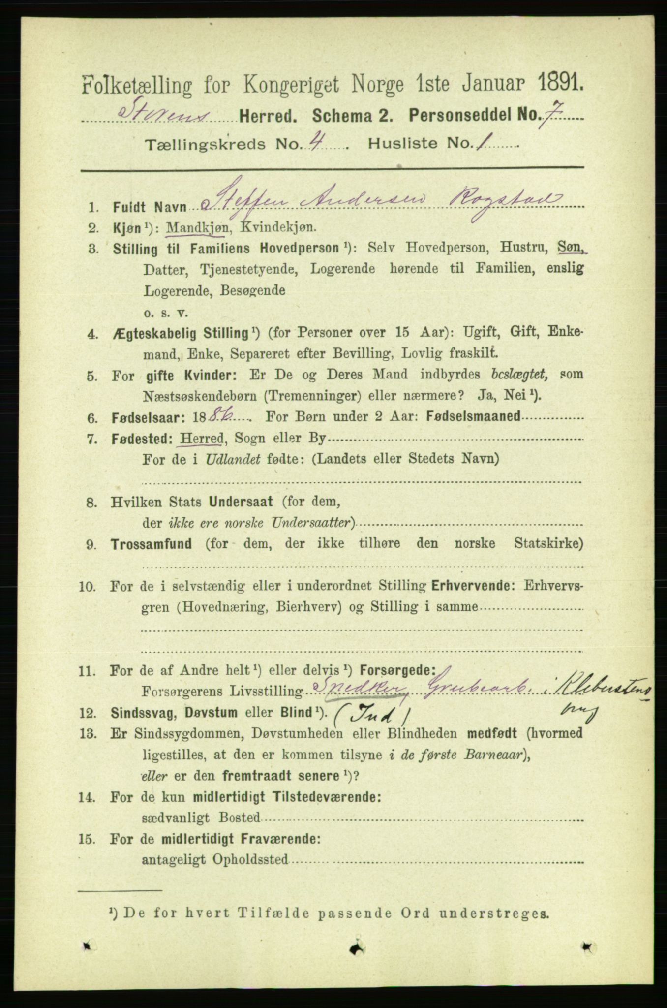 RA, 1891 census for 1648 Støren, 1891, p. 1297