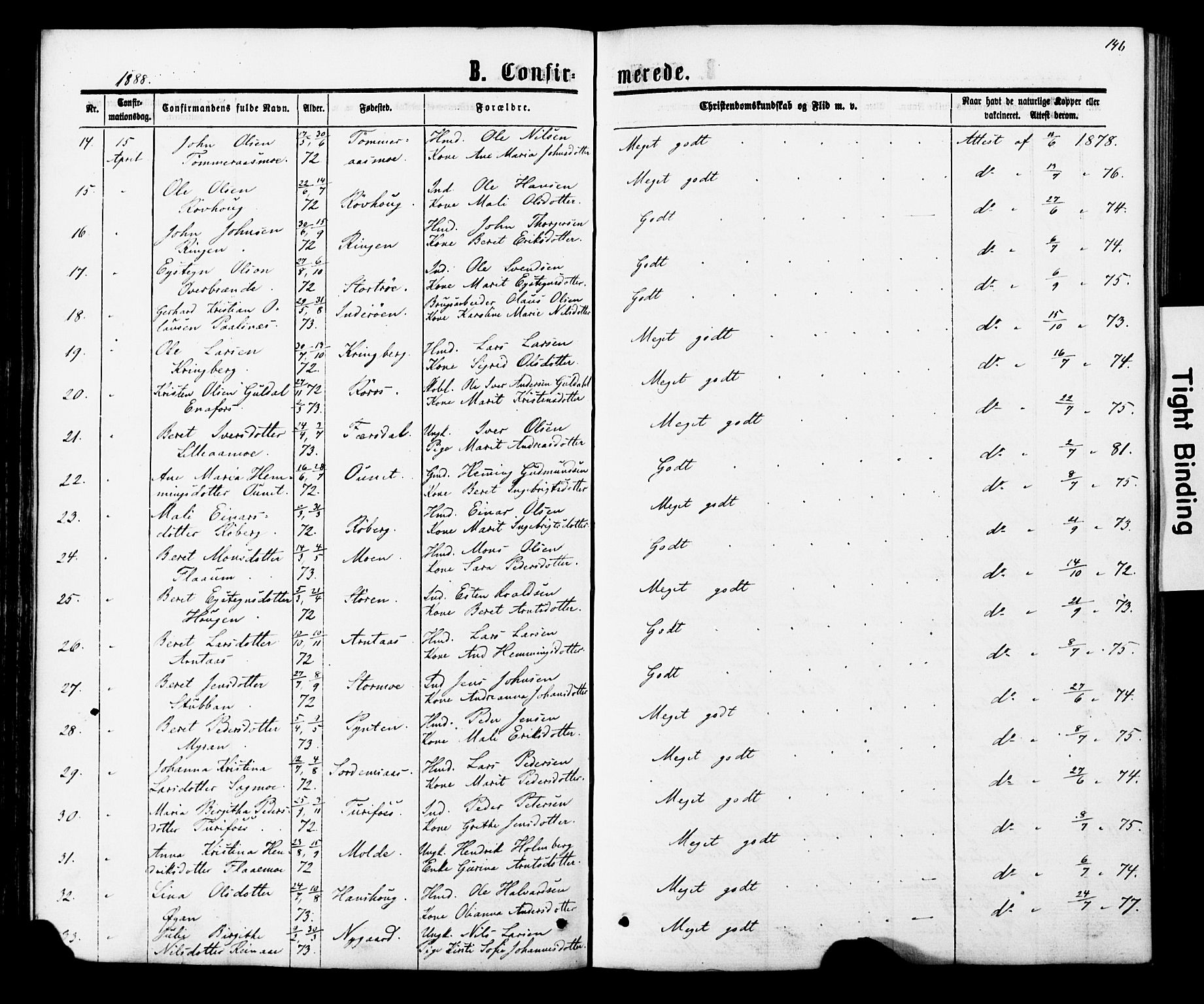 Ministerialprotokoller, klokkerbøker og fødselsregistre - Nord-Trøndelag, SAT/A-1458/706/L0049: Parish register (copy) no. 706C01, 1864-1895, p. 146