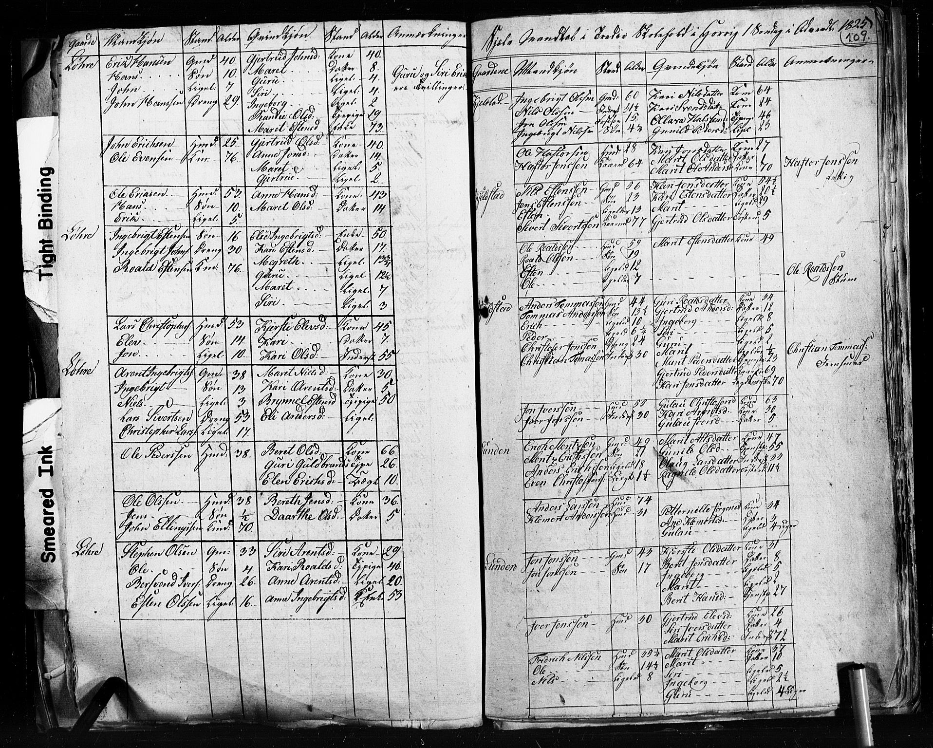 , 1825 Census for Støren parish, 1825, p. 109