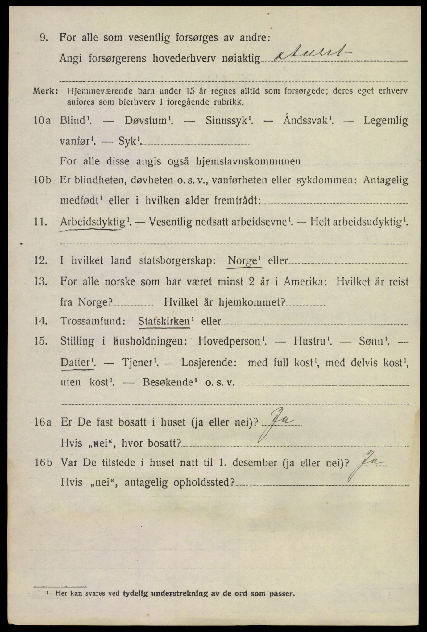 SAKO, 1920 census for Nøtterøy, 1920, p. 15976