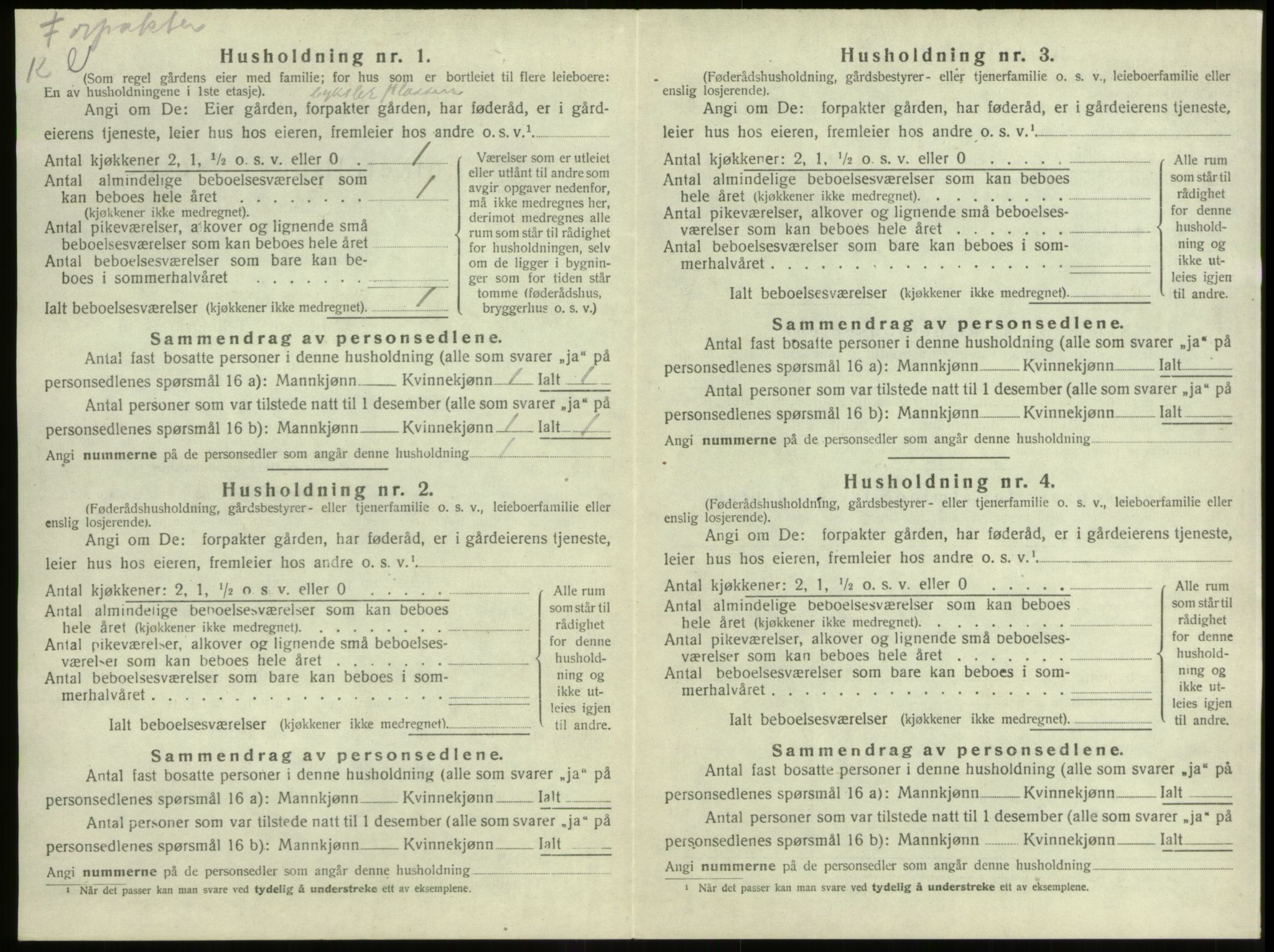 SAB, 1920 census for Stryn, 1920, p. 751