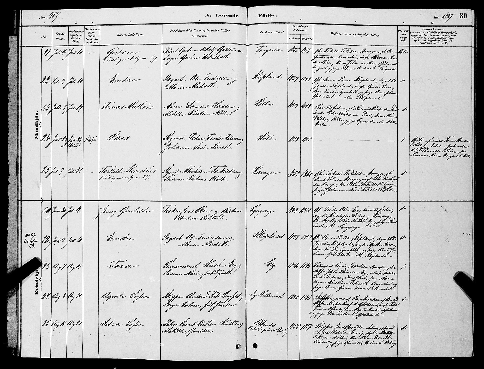 Søgne sokneprestkontor, SAK/1111-0037/F/Fb/Fbb/L0005: Parish register (copy) no. B 5, 1884-1891, p. 36