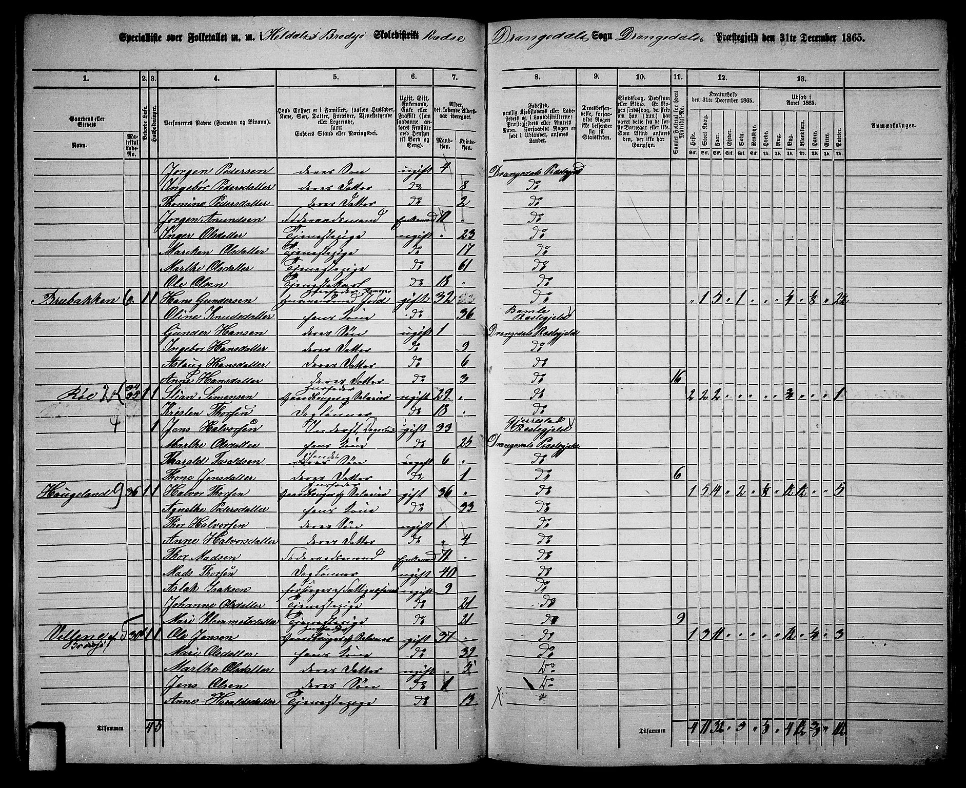 RA, 1865 census for Drangedal, 1865, p. 19