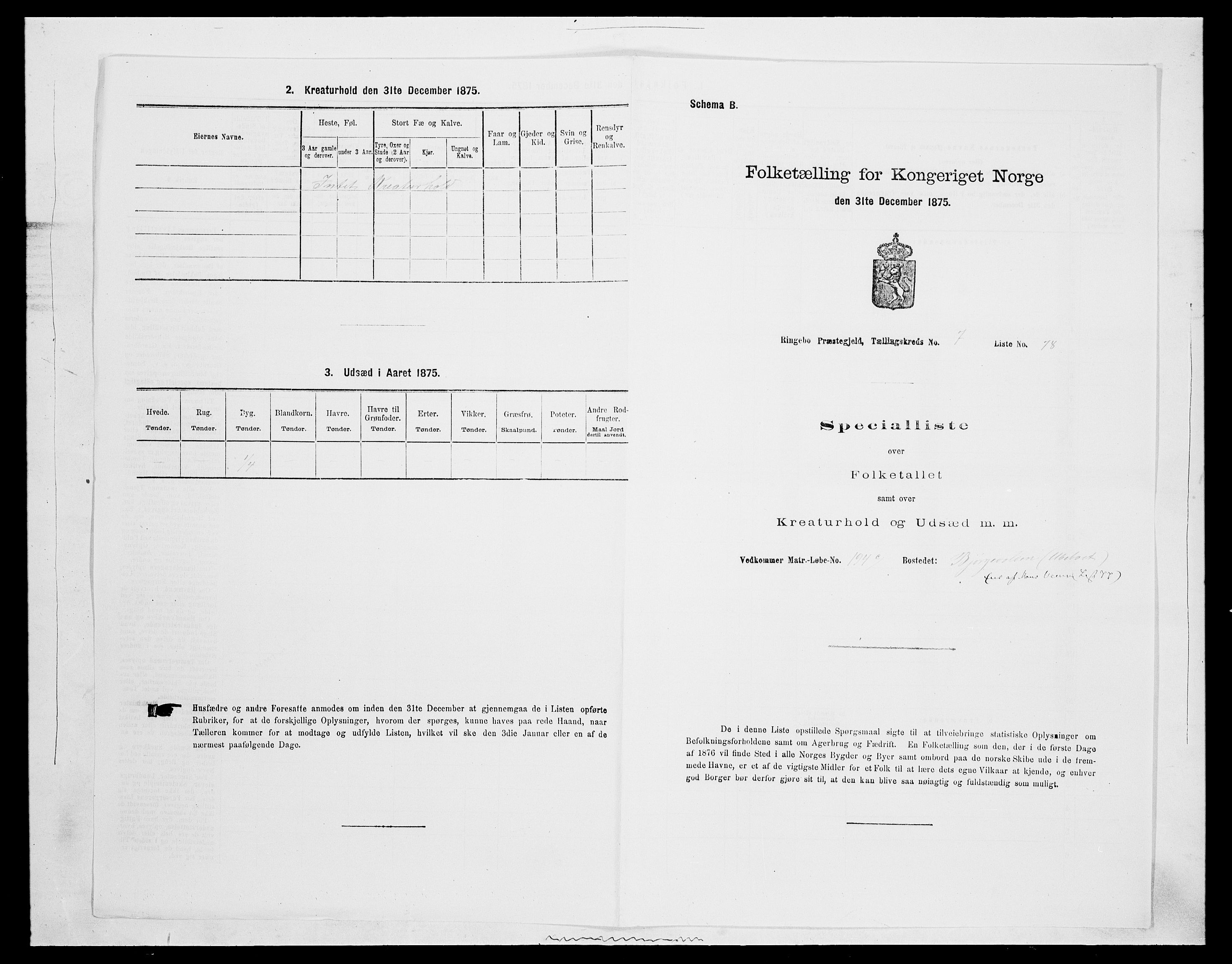 SAH, 1875 census for 0520P Ringebu, 1875, p. 1163