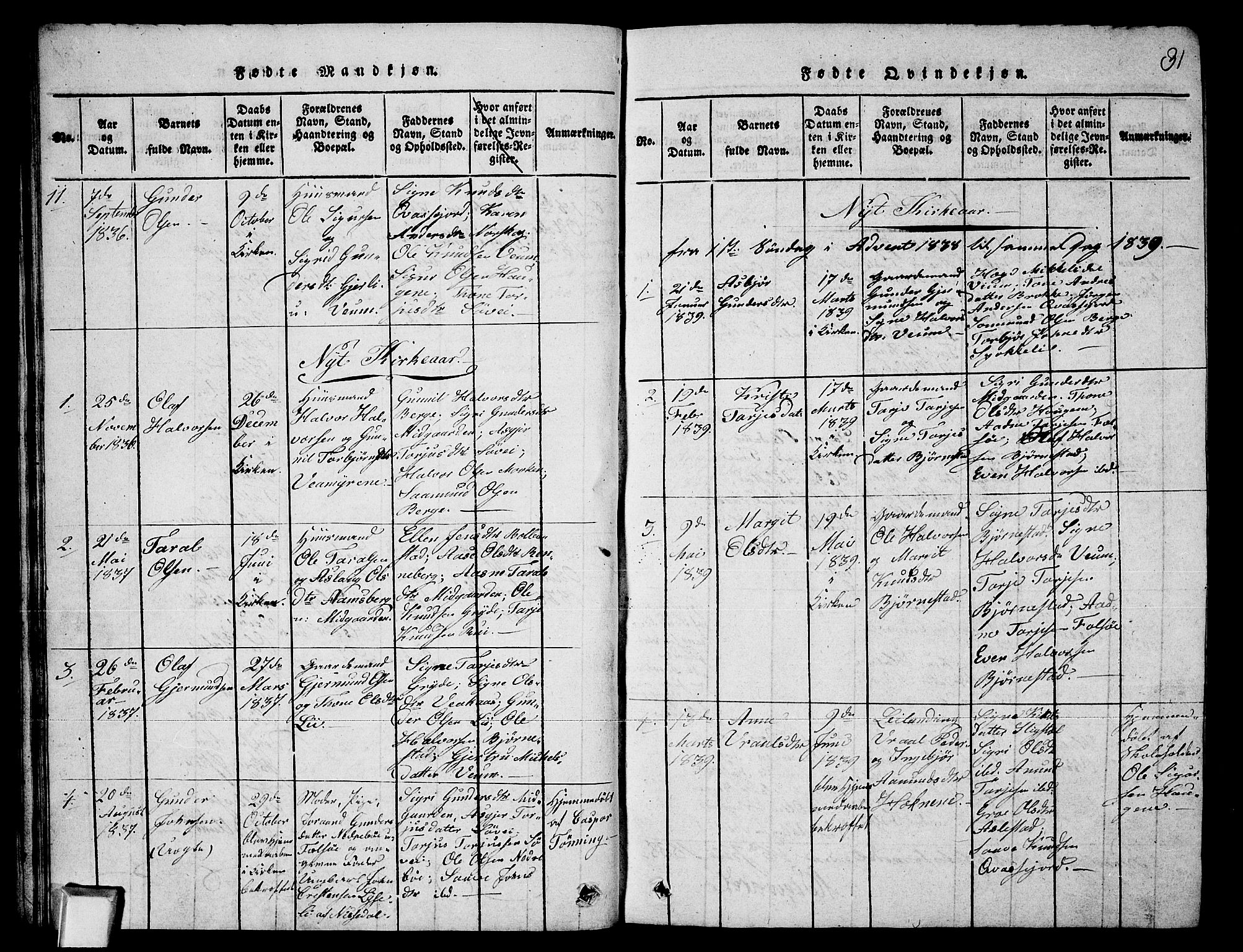 Fyresdal kirkebøker, SAKO/A-263/G/Ga/L0003: Parish register (copy) no. I 3, 1815-1863, p. 31