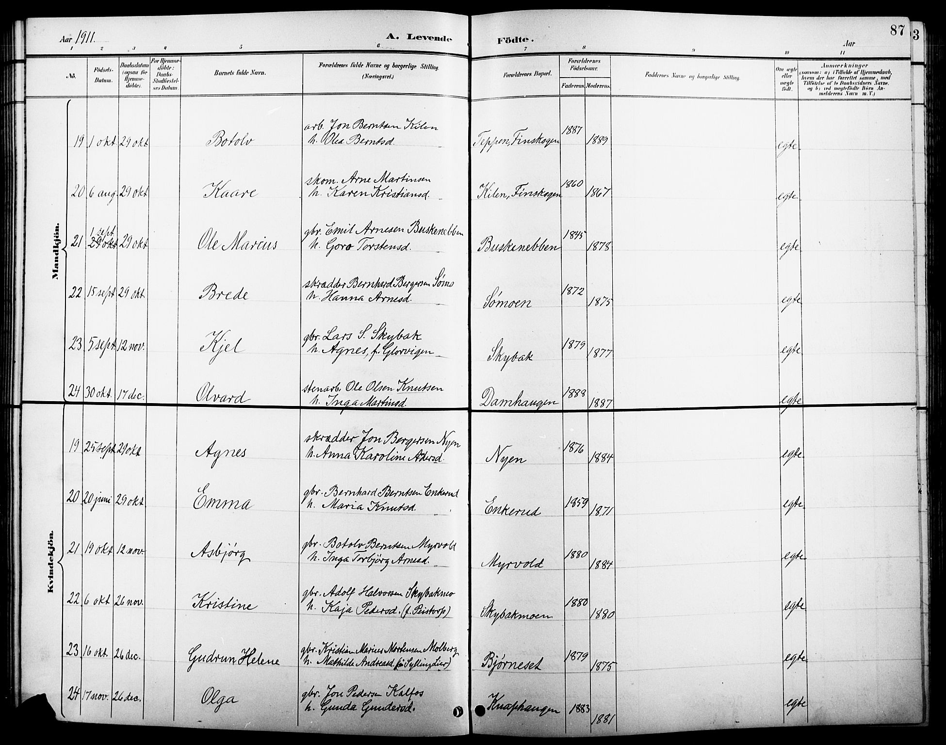 Åsnes prestekontor, AV/SAH-PREST-042/H/Ha/Hab/L0005: Parish register (copy) no. 5, 1895-1920, p. 87