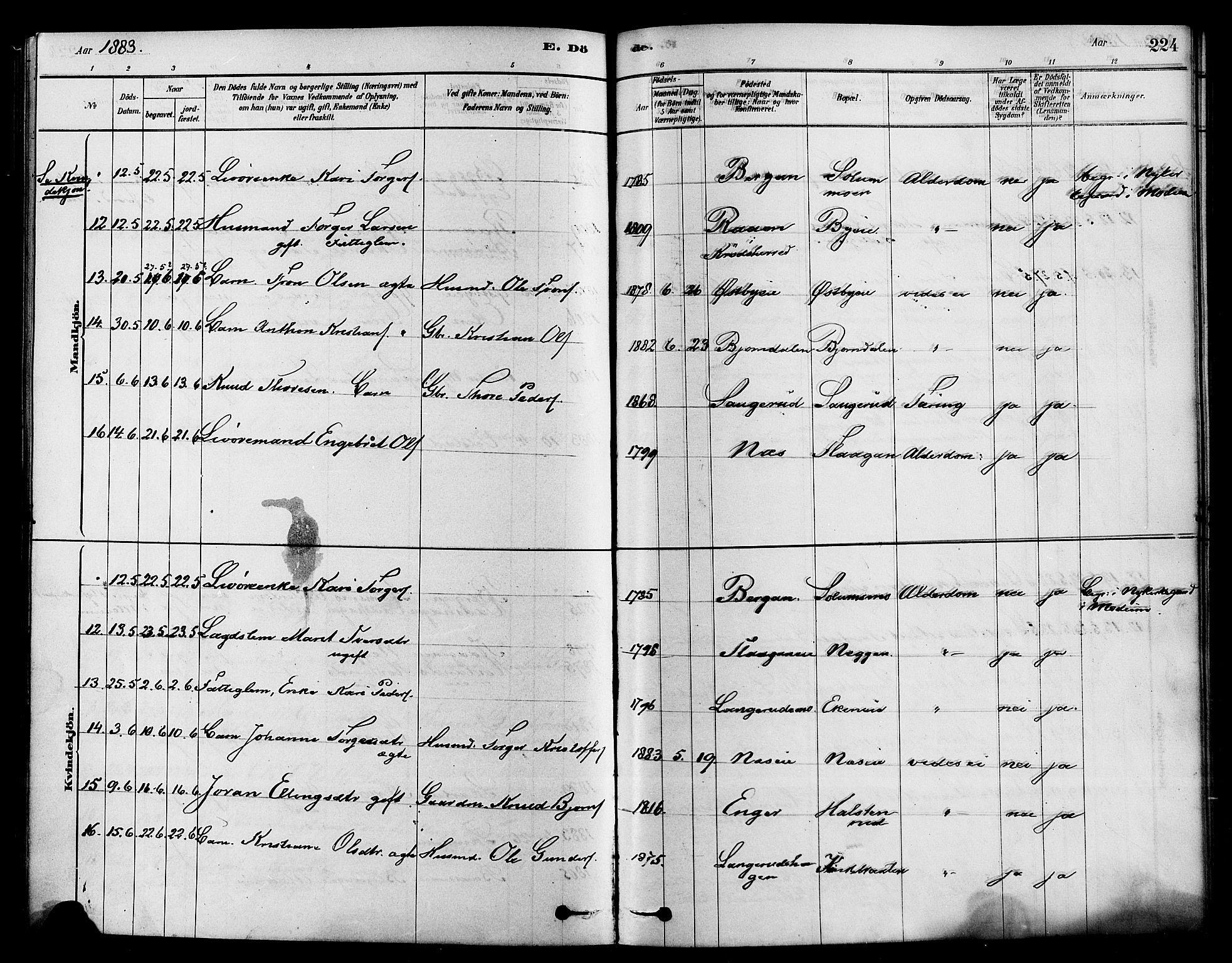 Sigdal kirkebøker, SAKO/A-245/F/Fa/L0011: Parish register (official) no. I 11, 1879-1887, p. 224