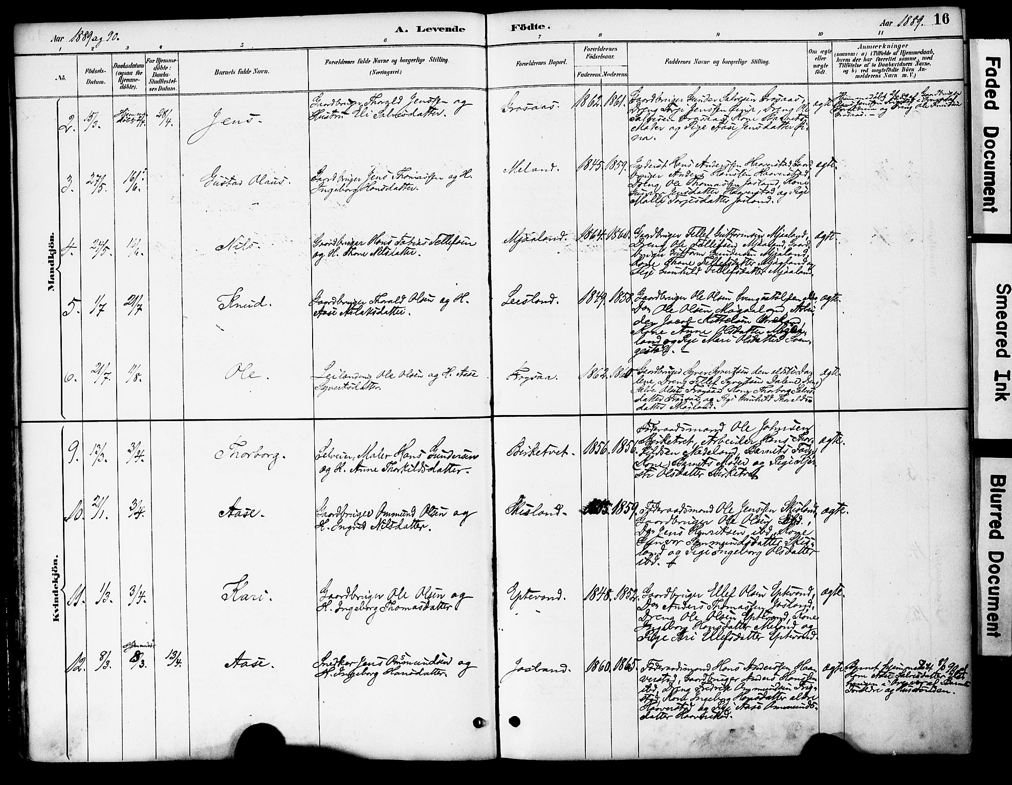 Evje sokneprestkontor, AV/SAK-1111-0008/F/Fa/Fac/L0003: Parish register (official) no. A 3, 1884-1909, p. 16