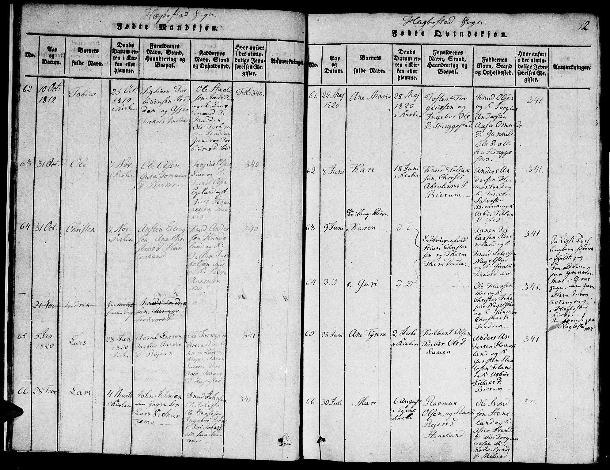 Hægebostad sokneprestkontor, SAK/1111-0024/F/Fa/Faa/L0002: Parish register (official) no. A 2 /1, 1816-1825, p. 12