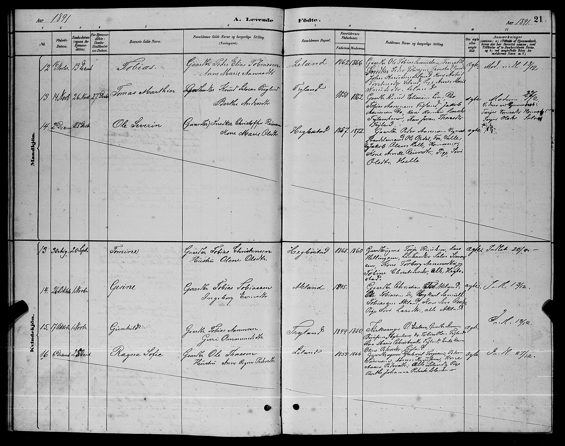 Nord-Audnedal sokneprestkontor, AV/SAK-1111-0032/F/Fb/Fbb/L0003: Parish register (copy) no. B 3, 1882-1900, p. 21