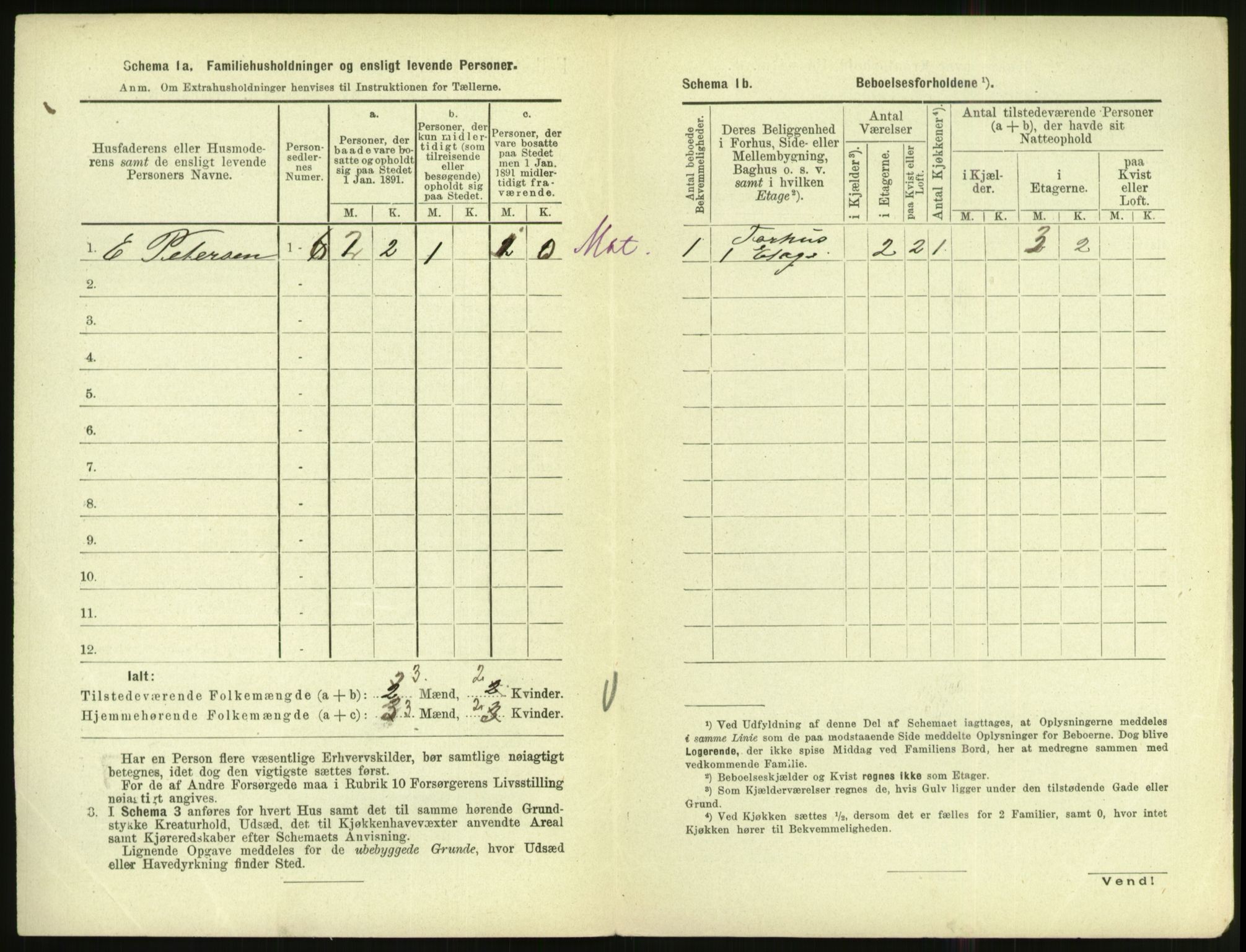 RA, 1891 census for 1002 Mandal, 1891, p. 1026