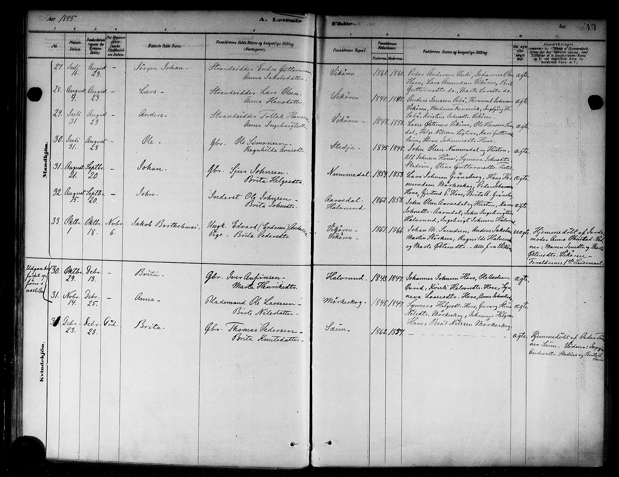 Vik sokneprestembete, AV/SAB-A-81501/H/Haa/Haab/L0001: Parish register (official) no. B 1, 1878-1890, p. 43