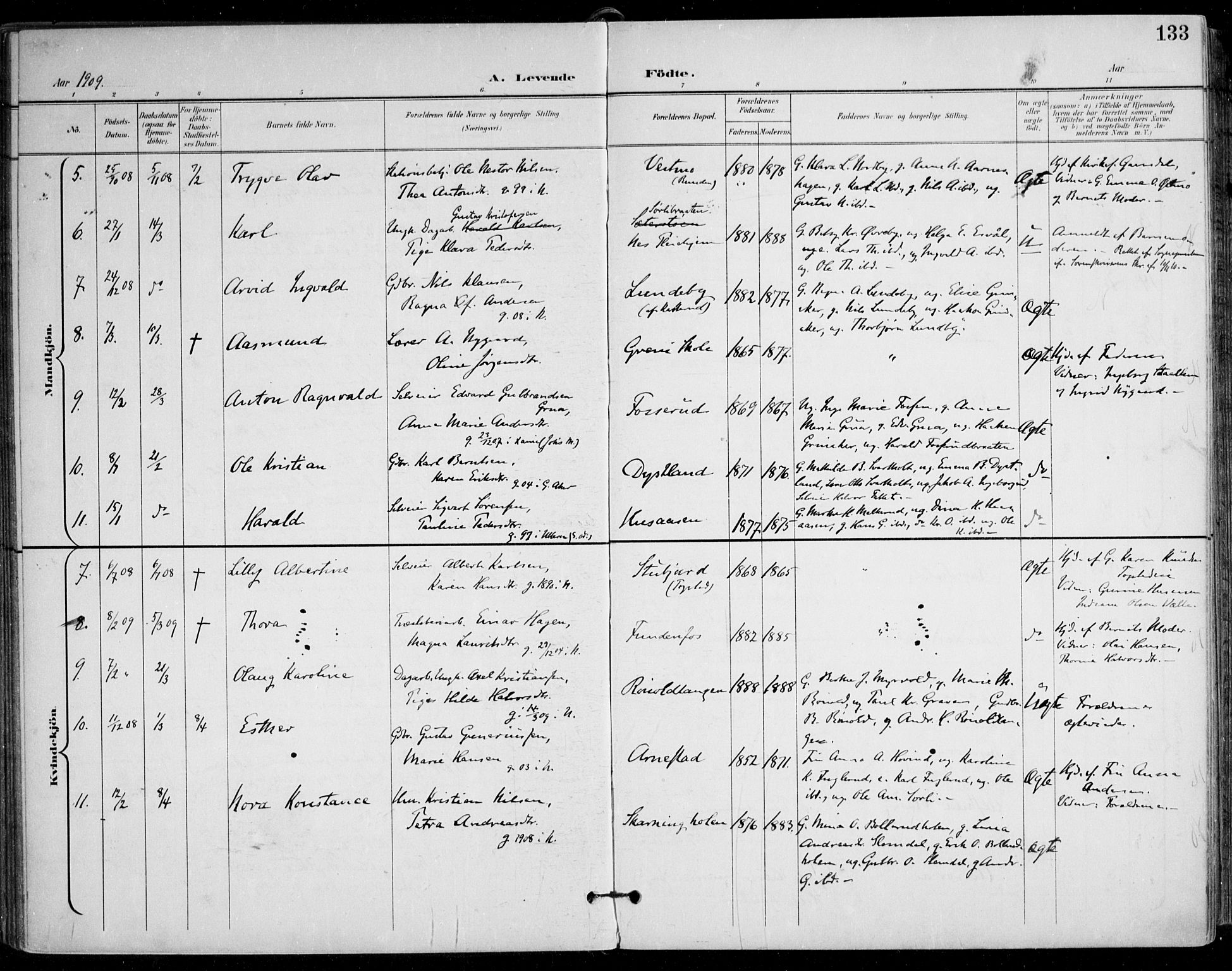 Nes prestekontor Kirkebøker, AV/SAO-A-10410/F/Fa/L0011: Parish register (official) no. I 11, 1899-1918, p. 133