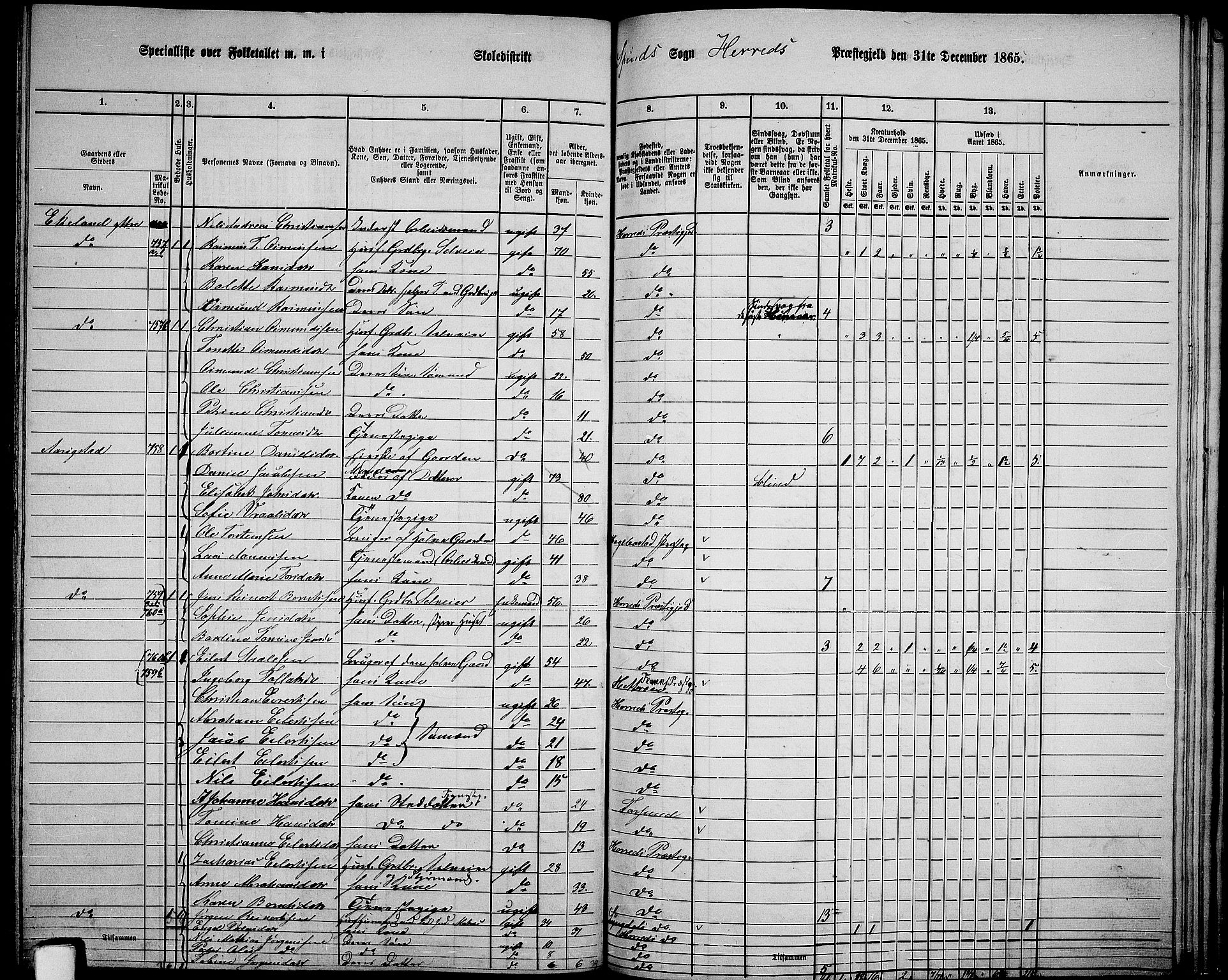 RA, 1865 census for Herad, 1865, p. 61