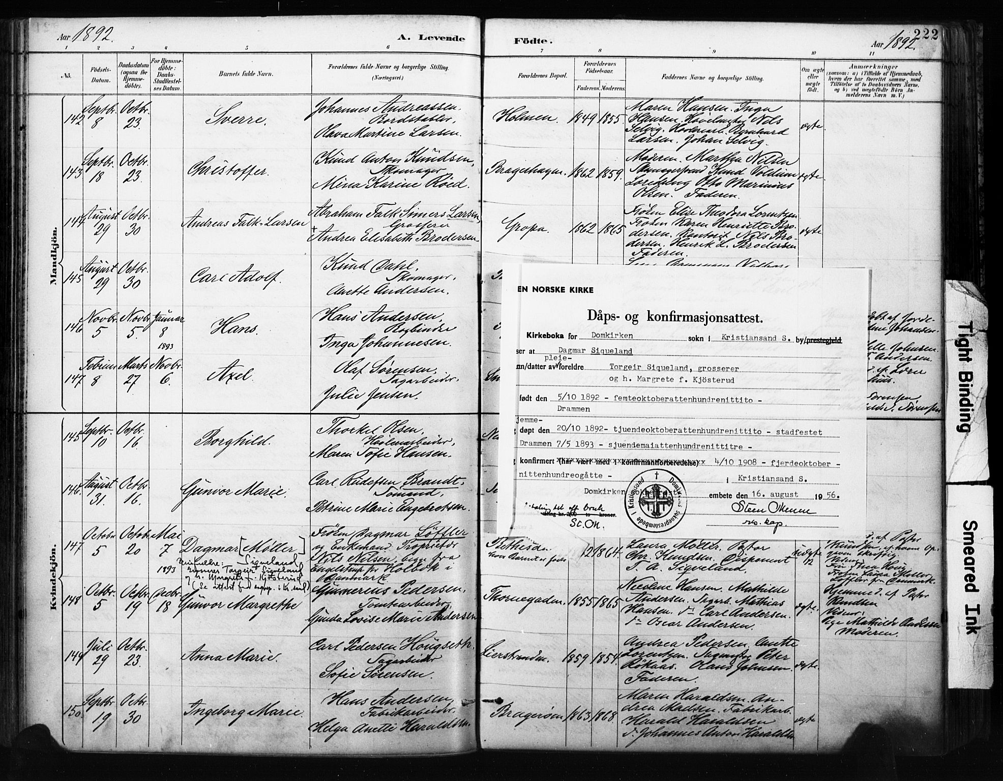 Bragernes kirkebøker, AV/SAKO-A-6/F/Fb/L0007: Parish register (official) no. II 7, 1885-1893, p. 222