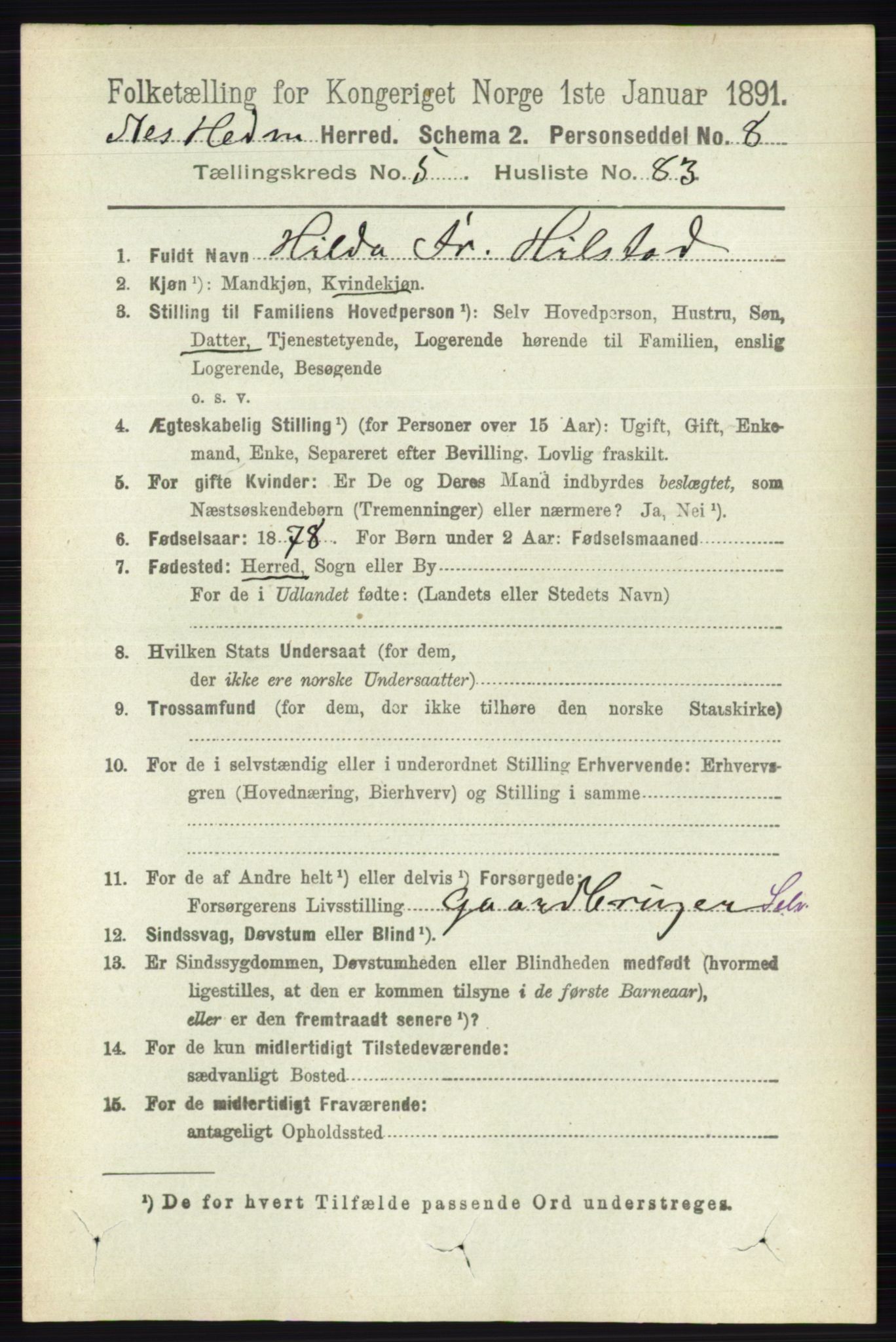 RA, 1891 census for 0411 Nes, 1891, p. 3146