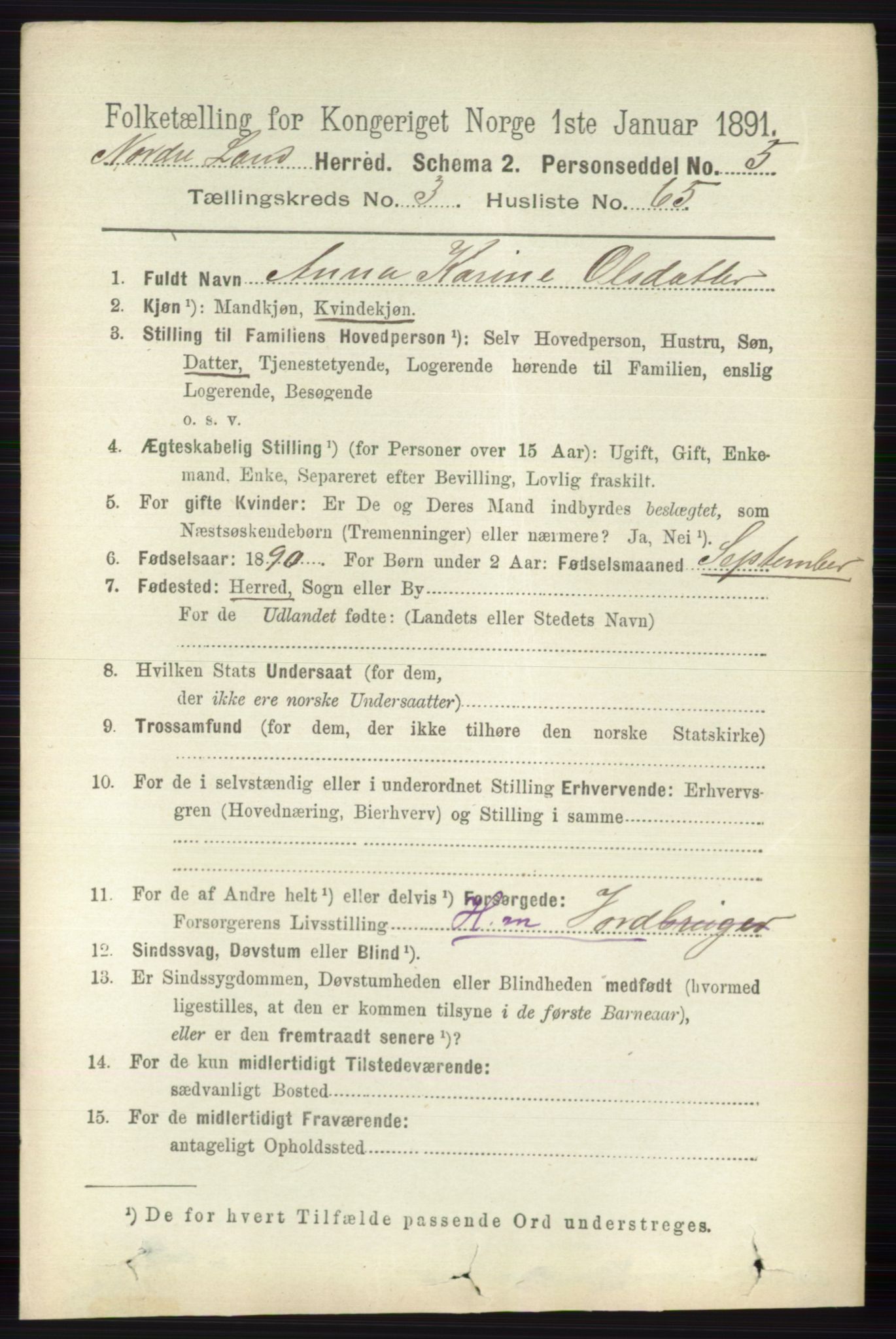 RA, 1891 census for 0538 Nordre Land, 1891, p. 1303