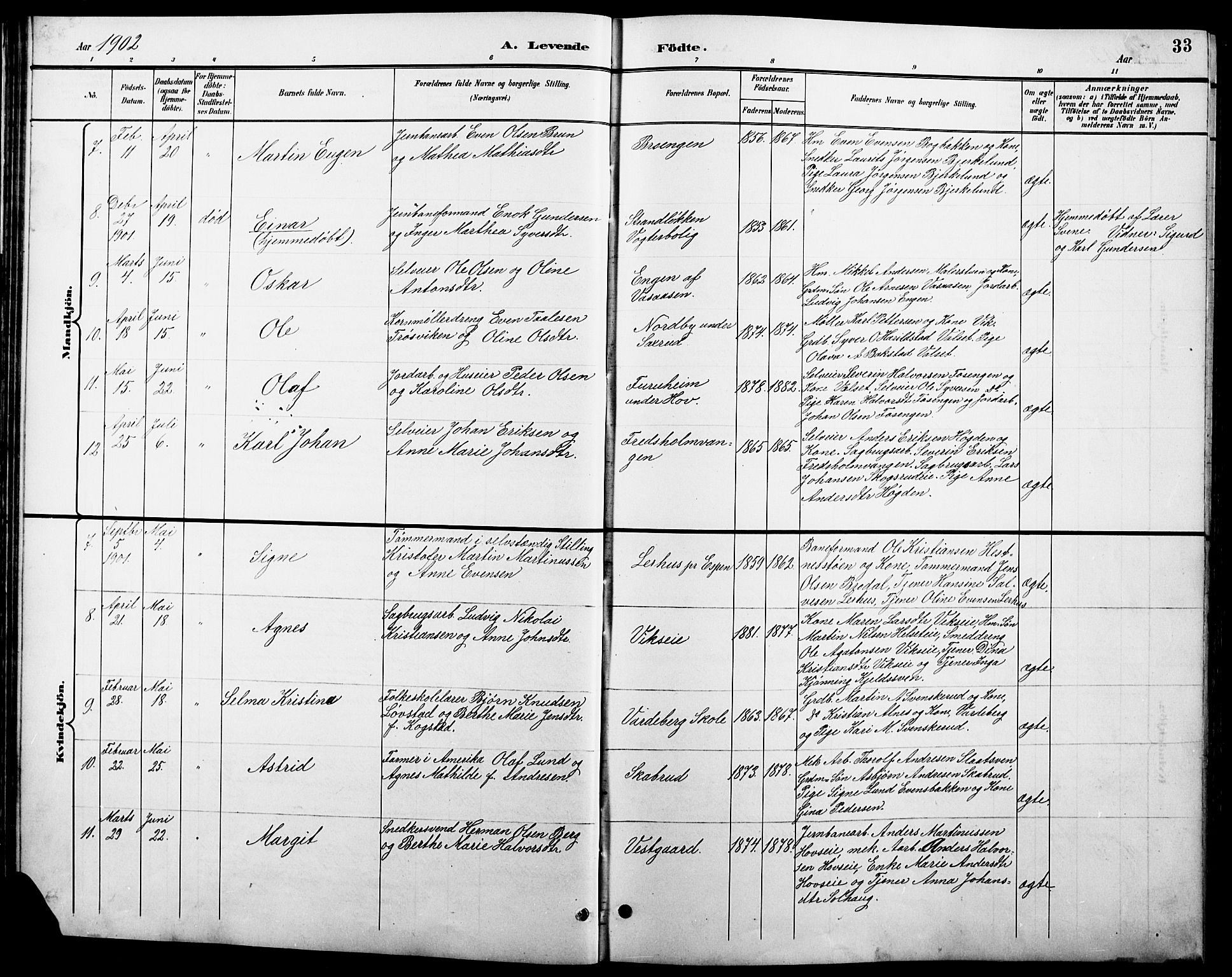 Stange prestekontor, AV/SAH-PREST-002/L/L0011: Parish register (copy) no. 11, 1895-1917, p. 33