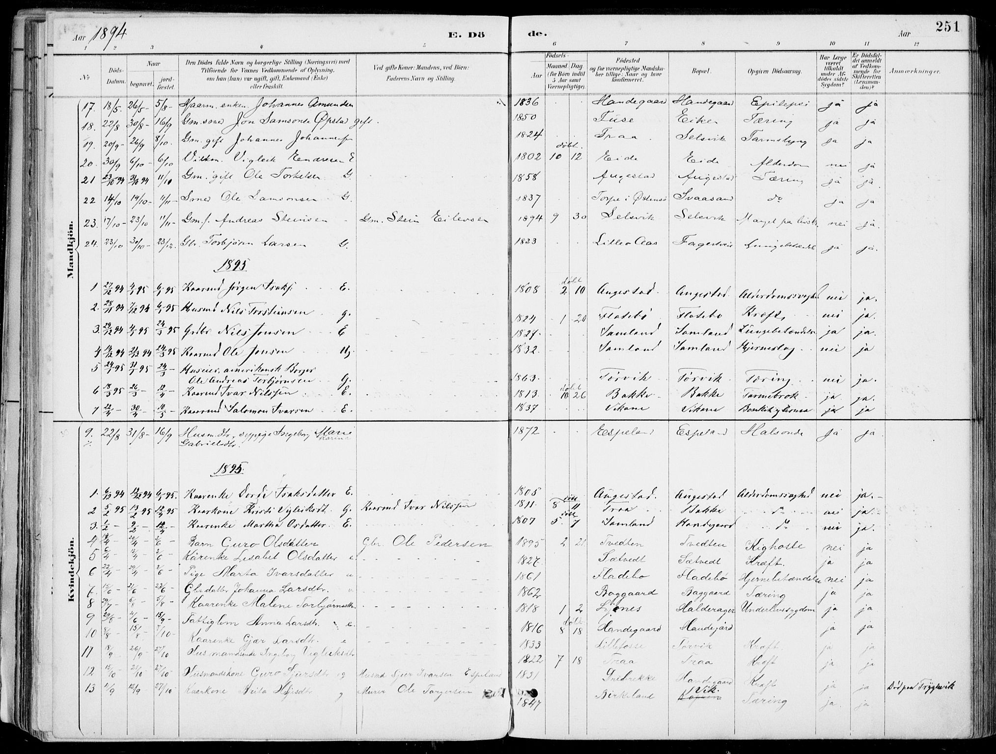 Strandebarm sokneprestembete, SAB/A-78401/H/Haa: Parish register (official) no. E  1, 1886-1908, p. 251