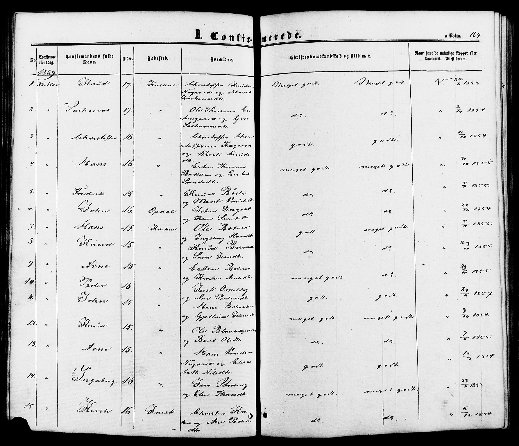Kvikne prestekontor, SAH/PREST-064/H/Ha/Haa/L0006: Parish register (official) no. 6, 1863-1886, p. 164
