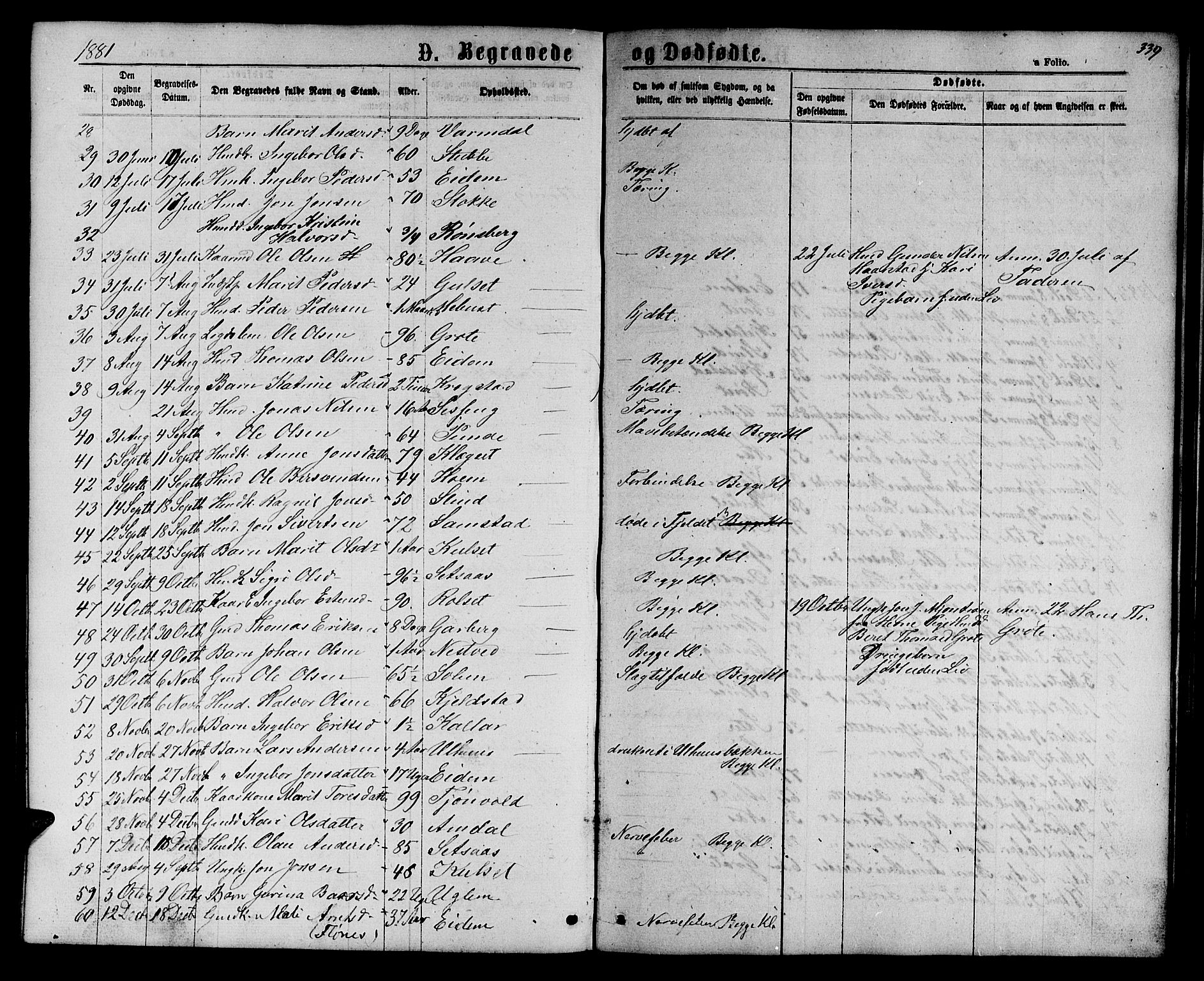 Ministerialprotokoller, klokkerbøker og fødselsregistre - Sør-Trøndelag, SAT/A-1456/695/L1156: Parish register (copy) no. 695C07, 1869-1888, p. 339