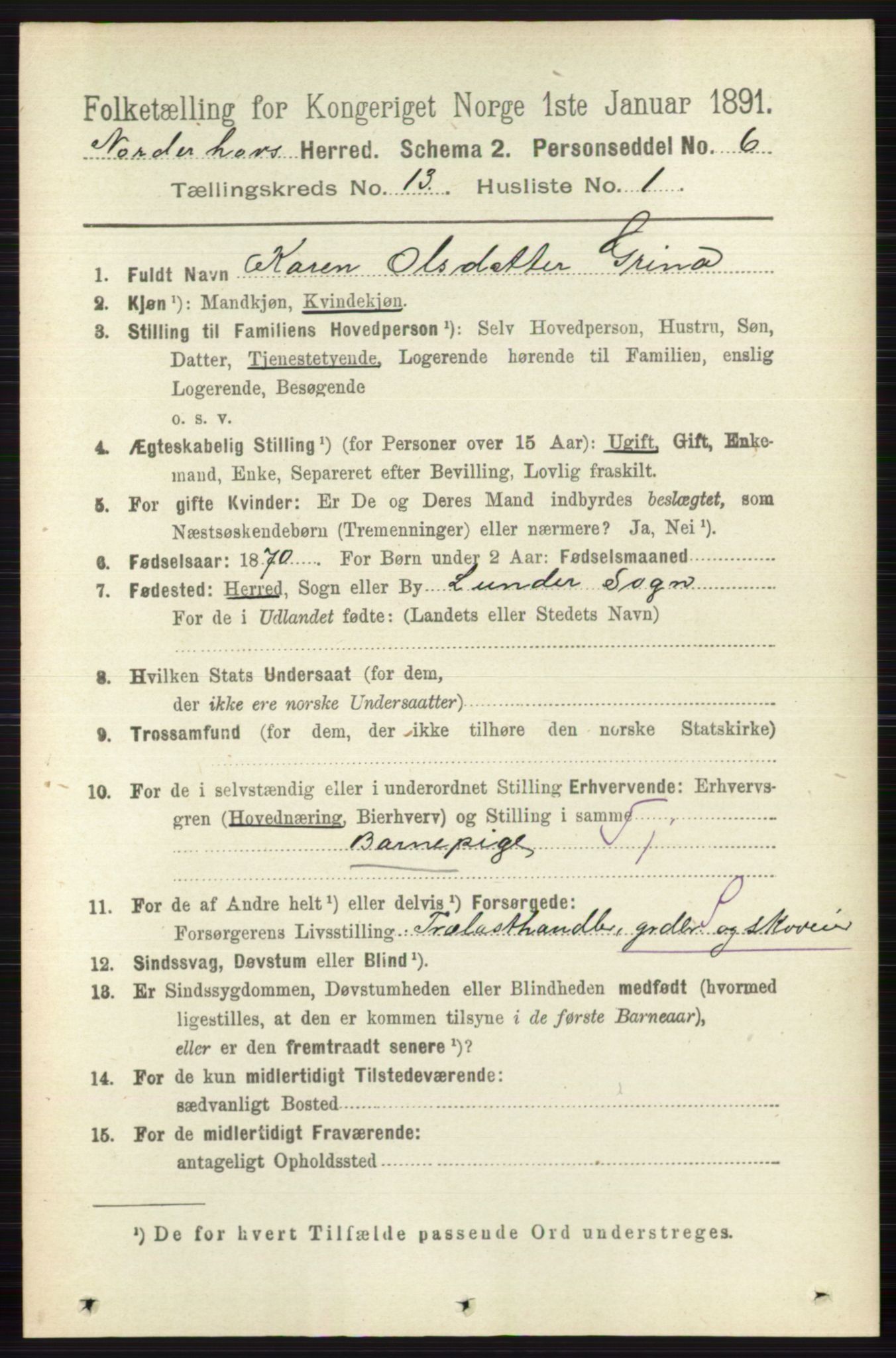 RA, 1891 census for 0613 Norderhov, 1891, p. 8885