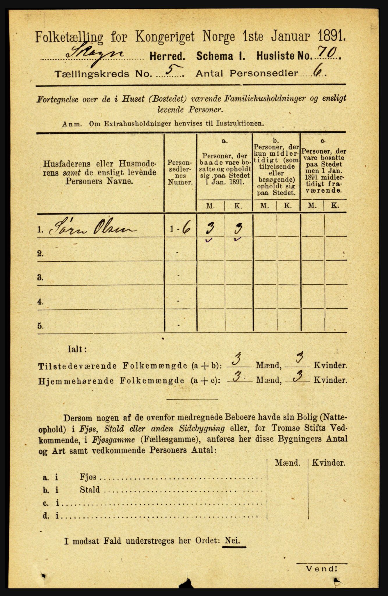 RA, 1891 census for 1719 Skogn, 1891, p. 2916