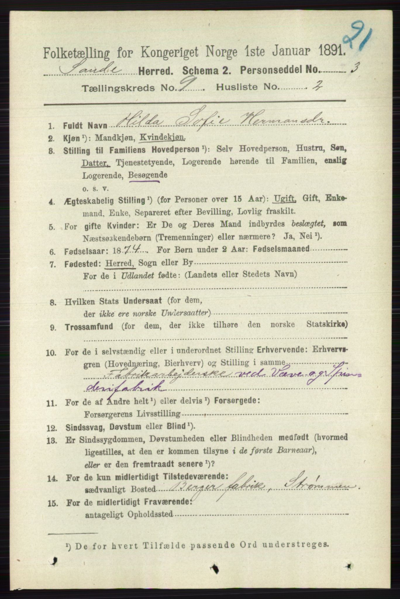 RA, 1891 census for 0713 Sande, 1891, p. 3940